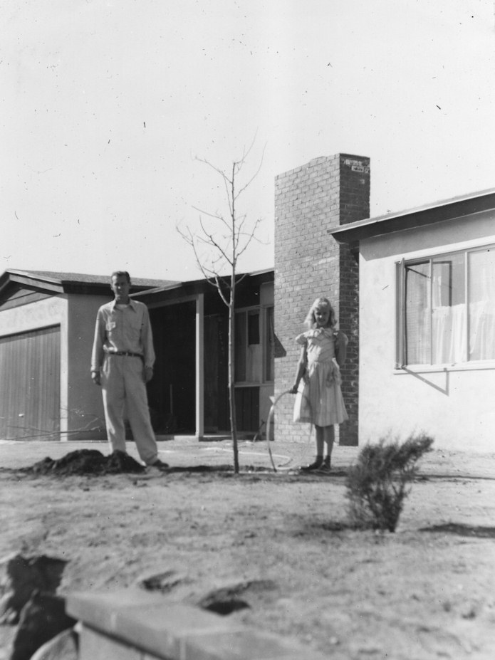 Planting first tree, a fruitless mulberry, in February 1953