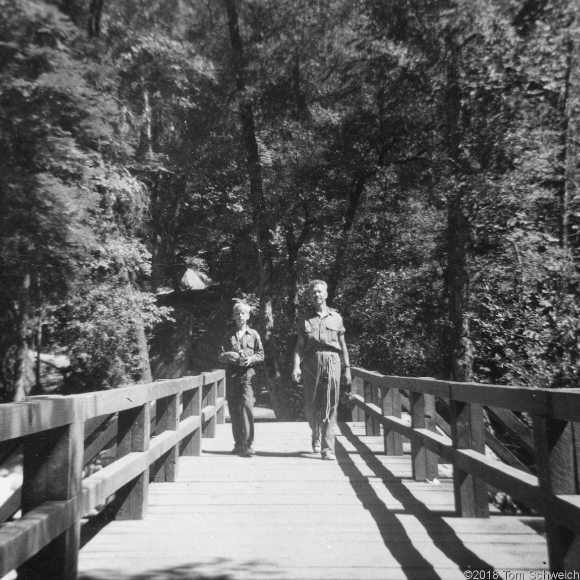 California, Mariposa County, Yosemite National Park