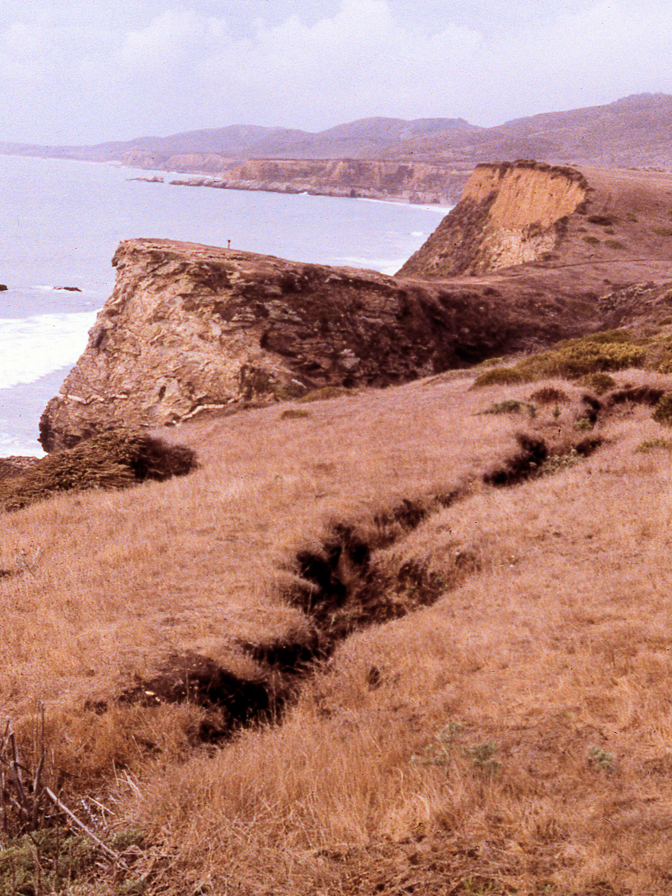 California, Marin County, Point Reyes National Seashore, Wildcat Beach