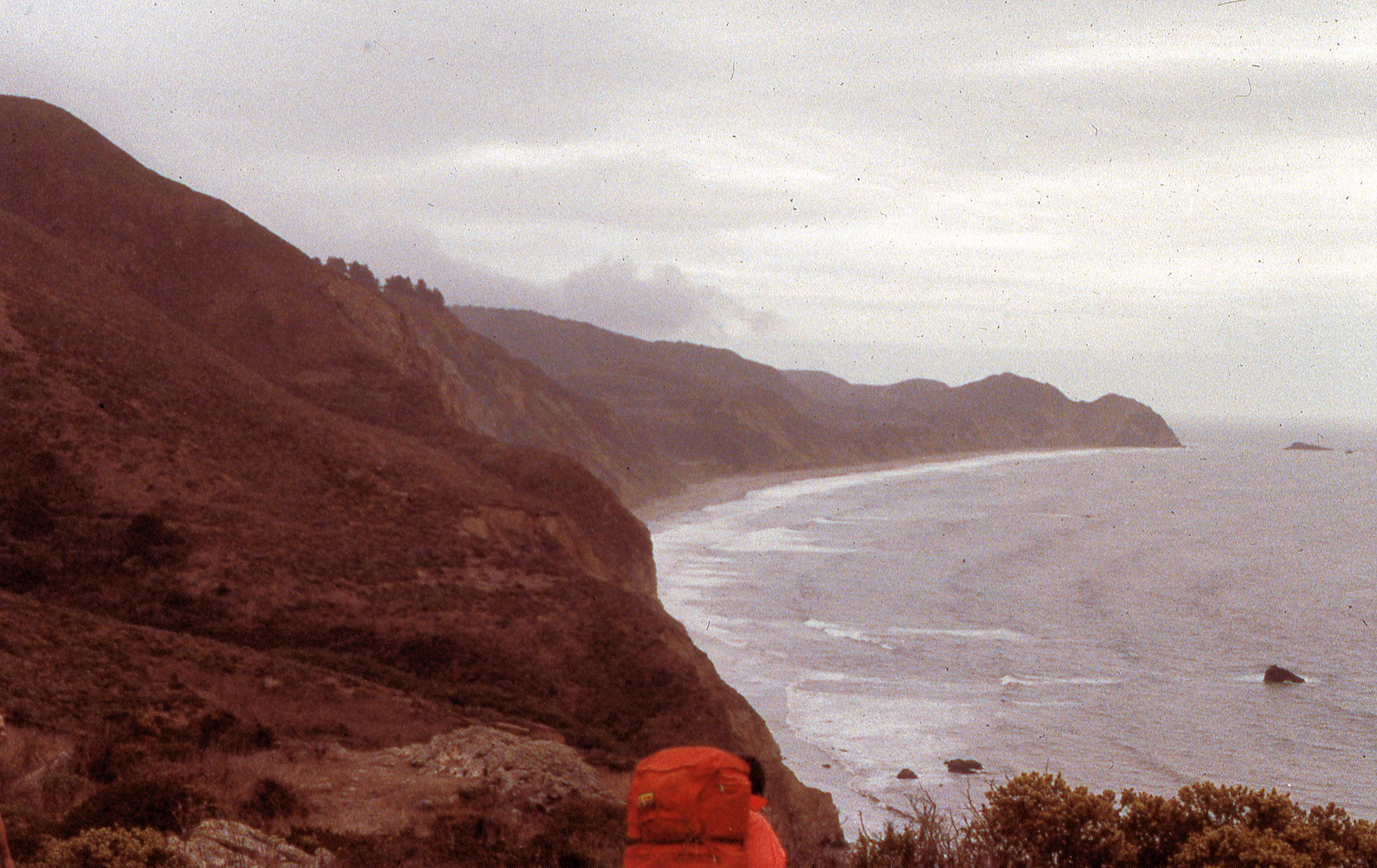 California, Marin County, Point Reyes National Seashore, Bear Valley