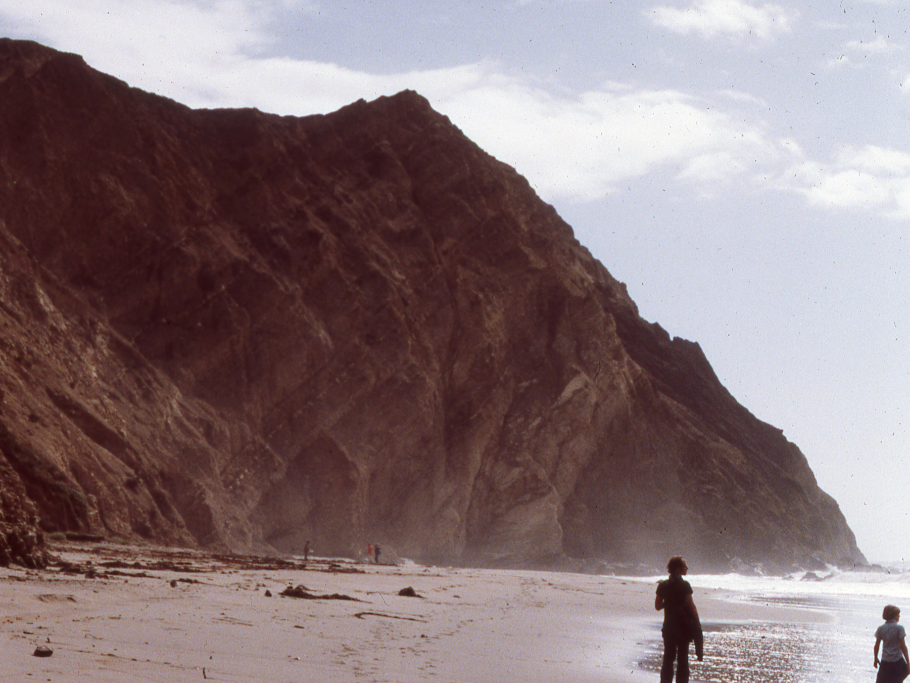 California, Marin County, Point Reyes National Seashore, Wildcat Beach