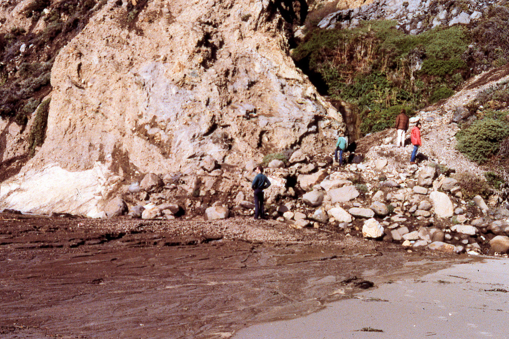 California, Marin County, Point Reyes National Seashore, Wildcat Beach