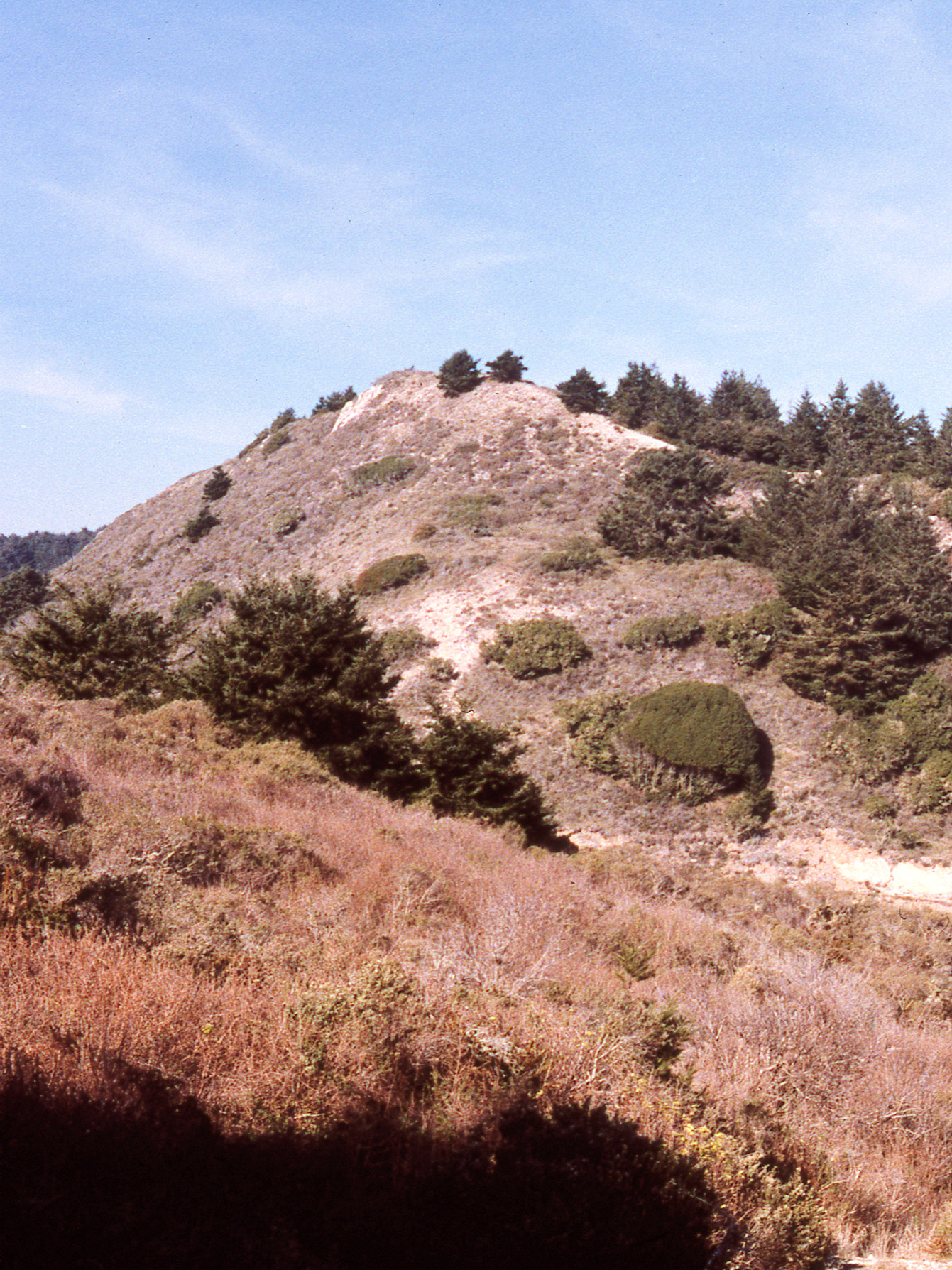 California, Marin County, Point Reyes National Seashore, Crystal Lake