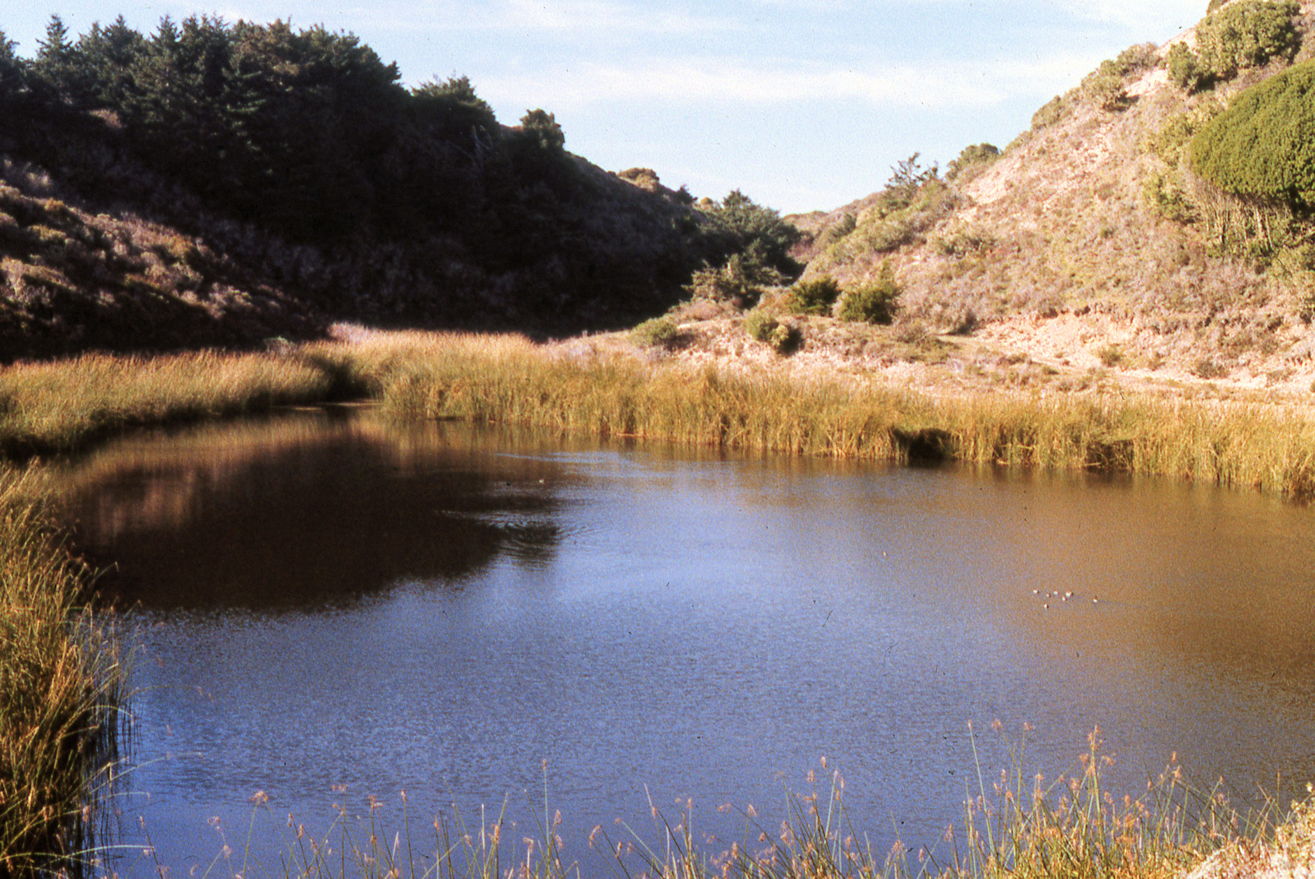 California, Marin County, Point Reyes National Seashore, Crystal Lake