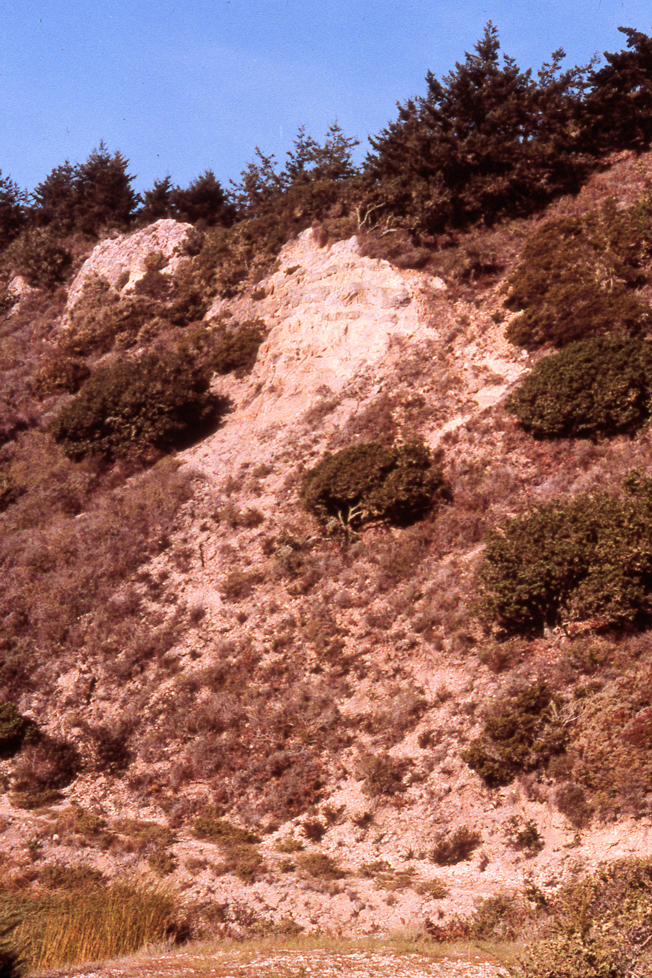 California, Marin County, Point Reyes National Seashore, Crystal Lake