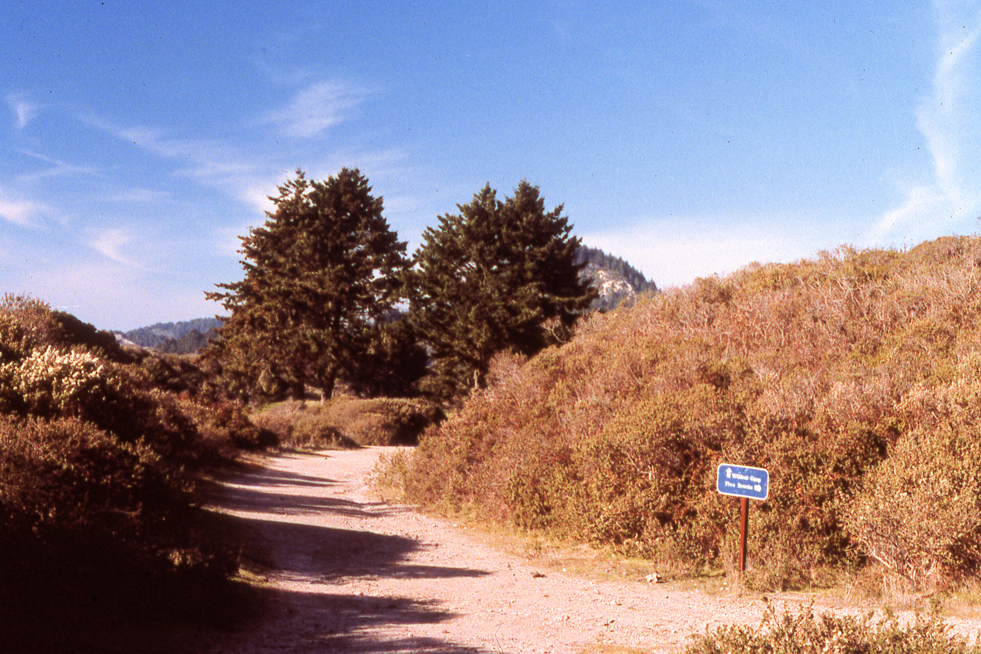 California, Marin County, Point Reyes National Seashore, Lake Ranch