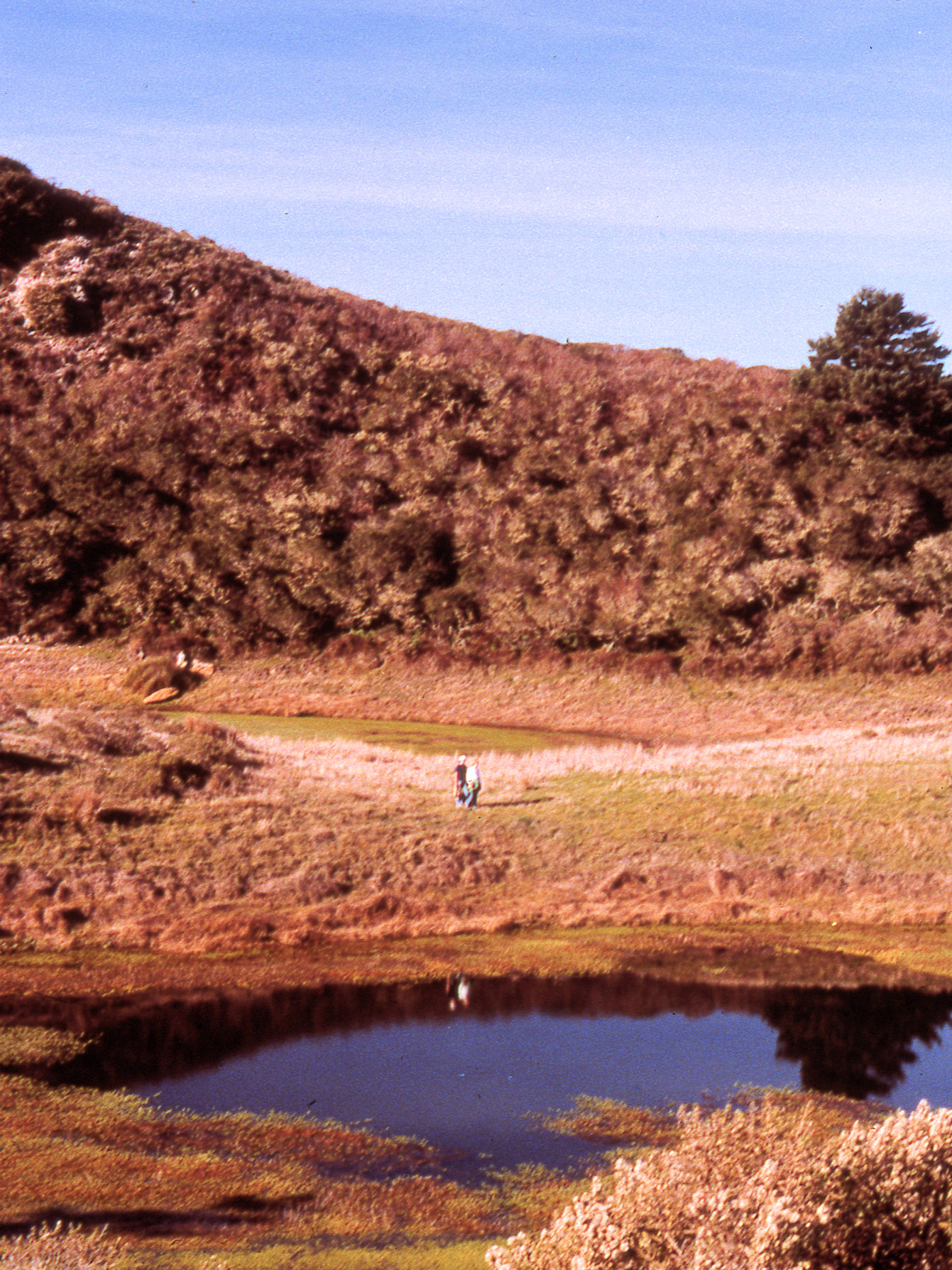 California, Marin County, Point Reyes National Seashore, Pelican Lake