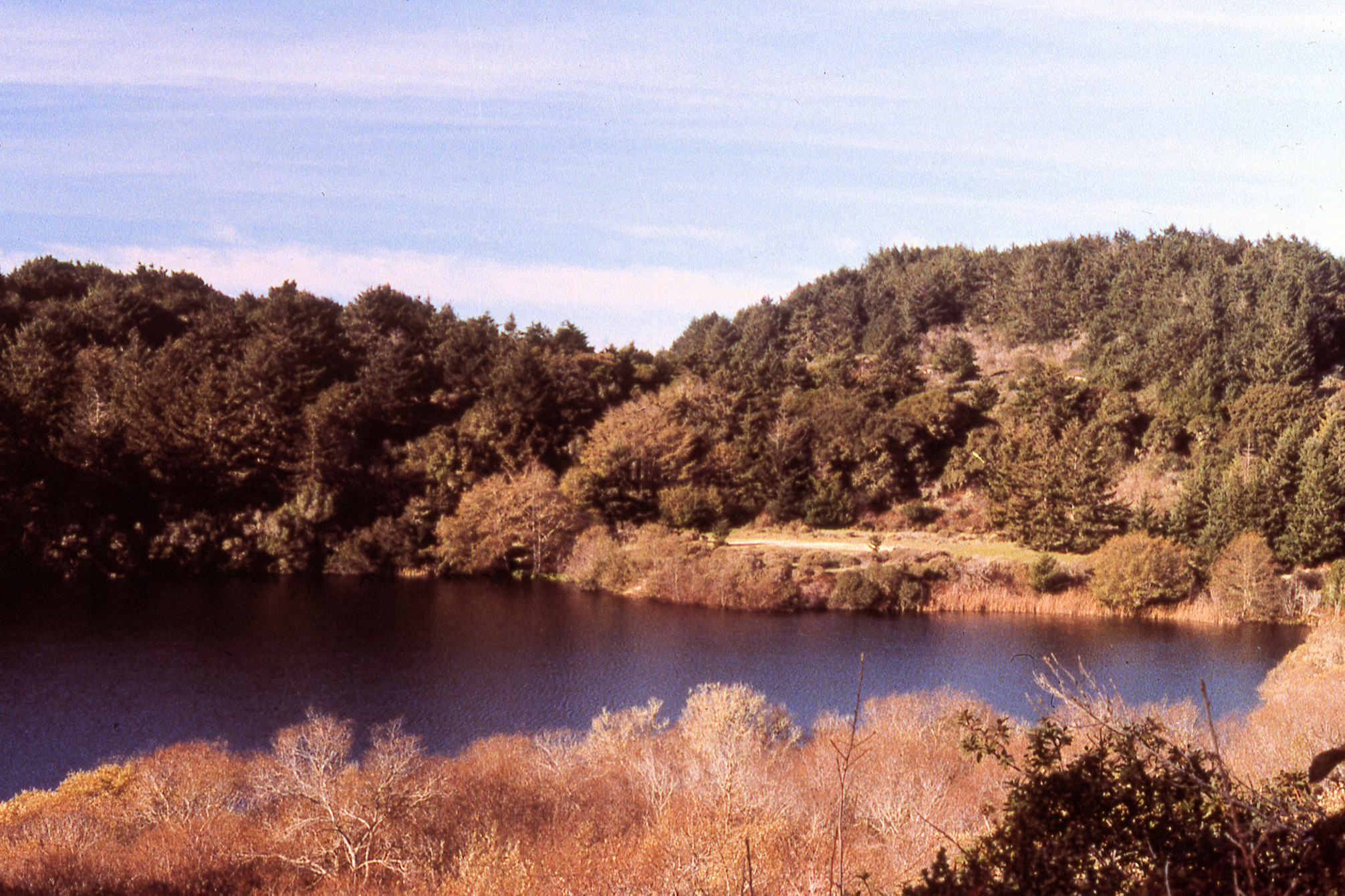 California, Marin County, Point Reyes National Seashore, Bass Lake