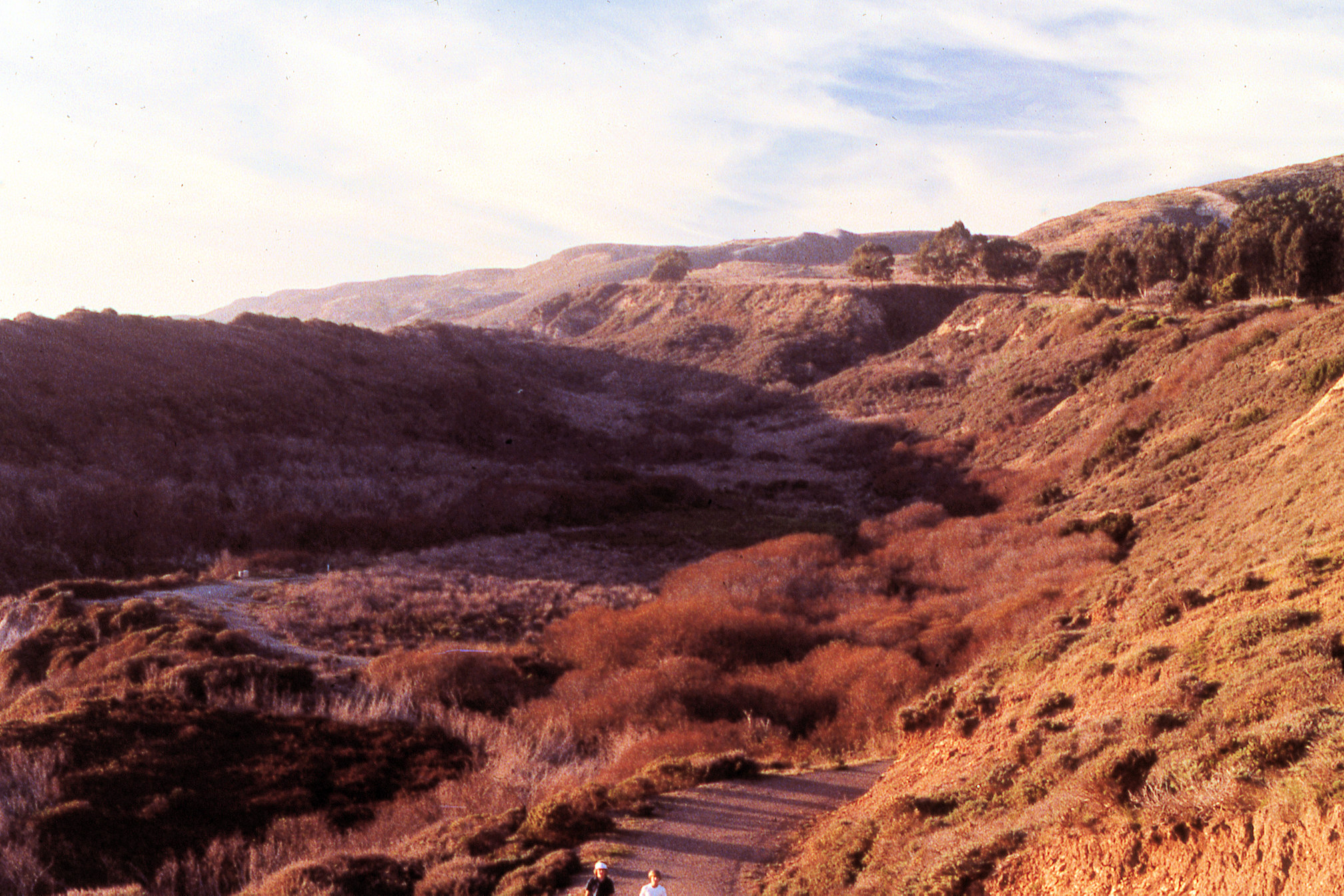 California, Marin County, Point Reyes National Seashore, Palomarin Slide