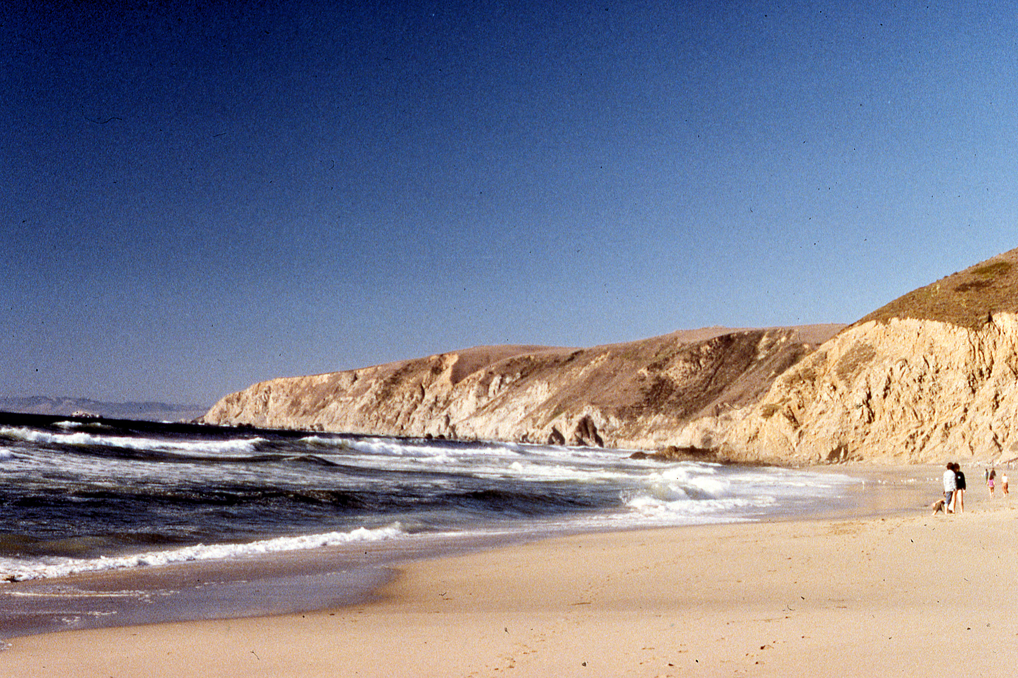 California, Marin County, Point Reyes National Seashore, Kehoe Beach