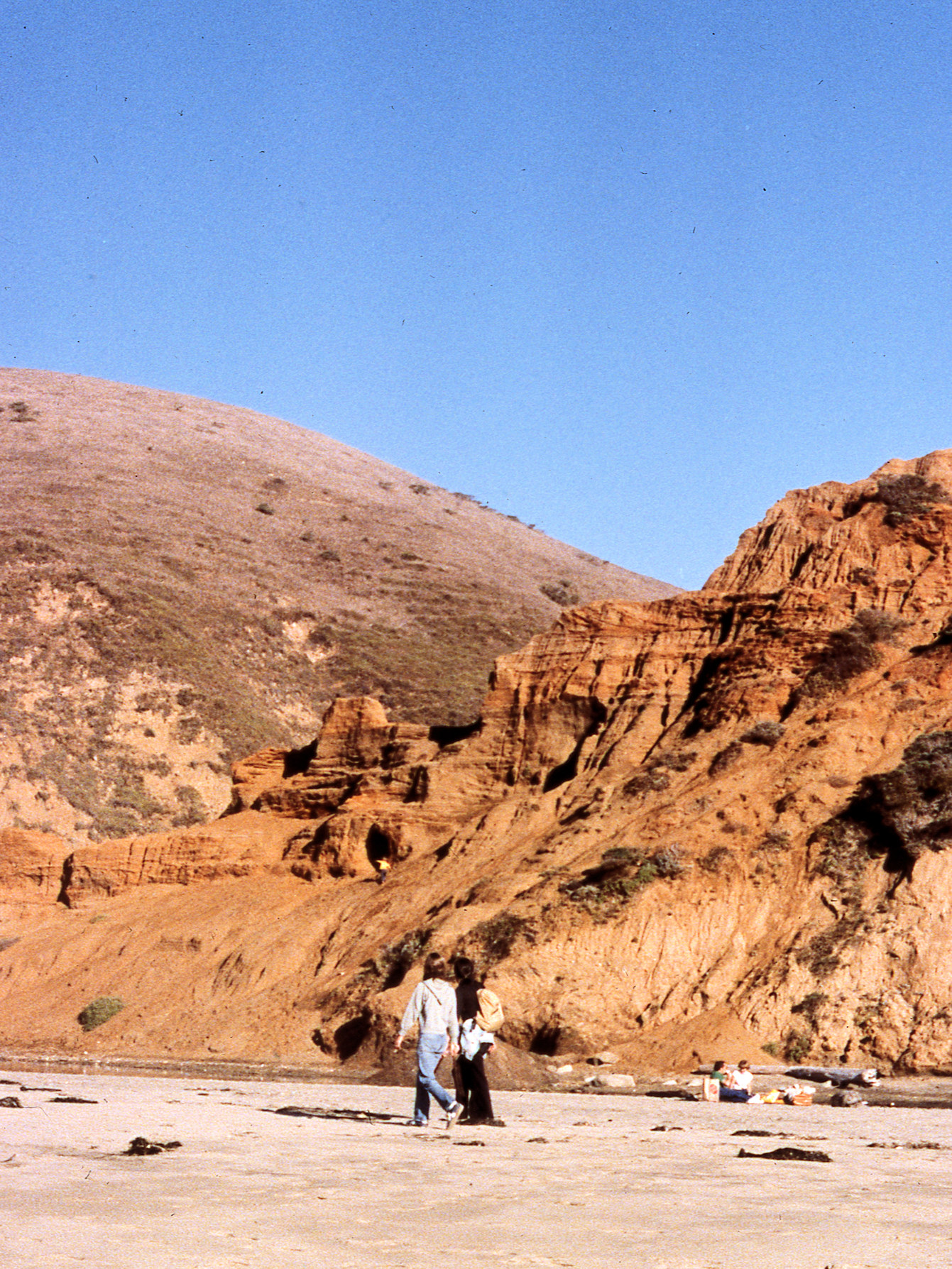 California, Marin County, Point Reyes National Seashore, Kehoe Beach