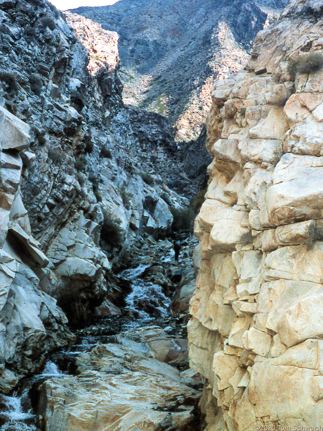 California, Inyo County, Panamint Range, Surprise Canyon