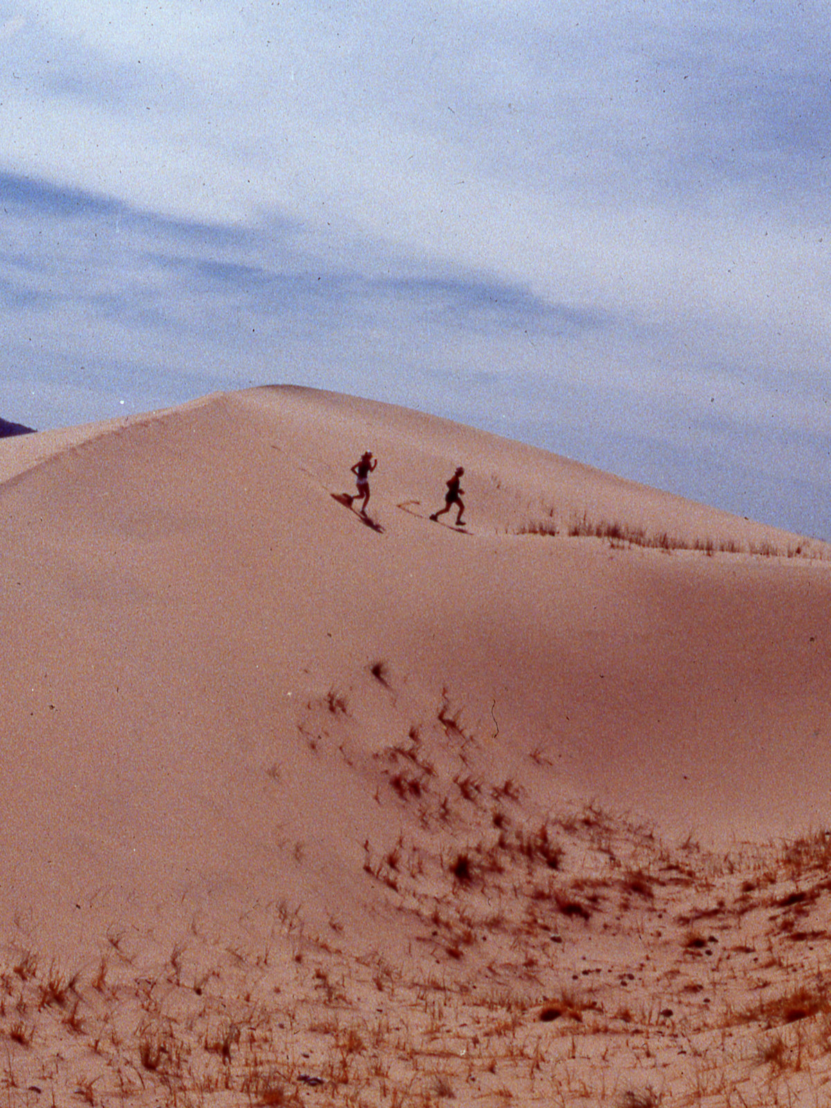 California, San Bernardino County, Kelso Dunes