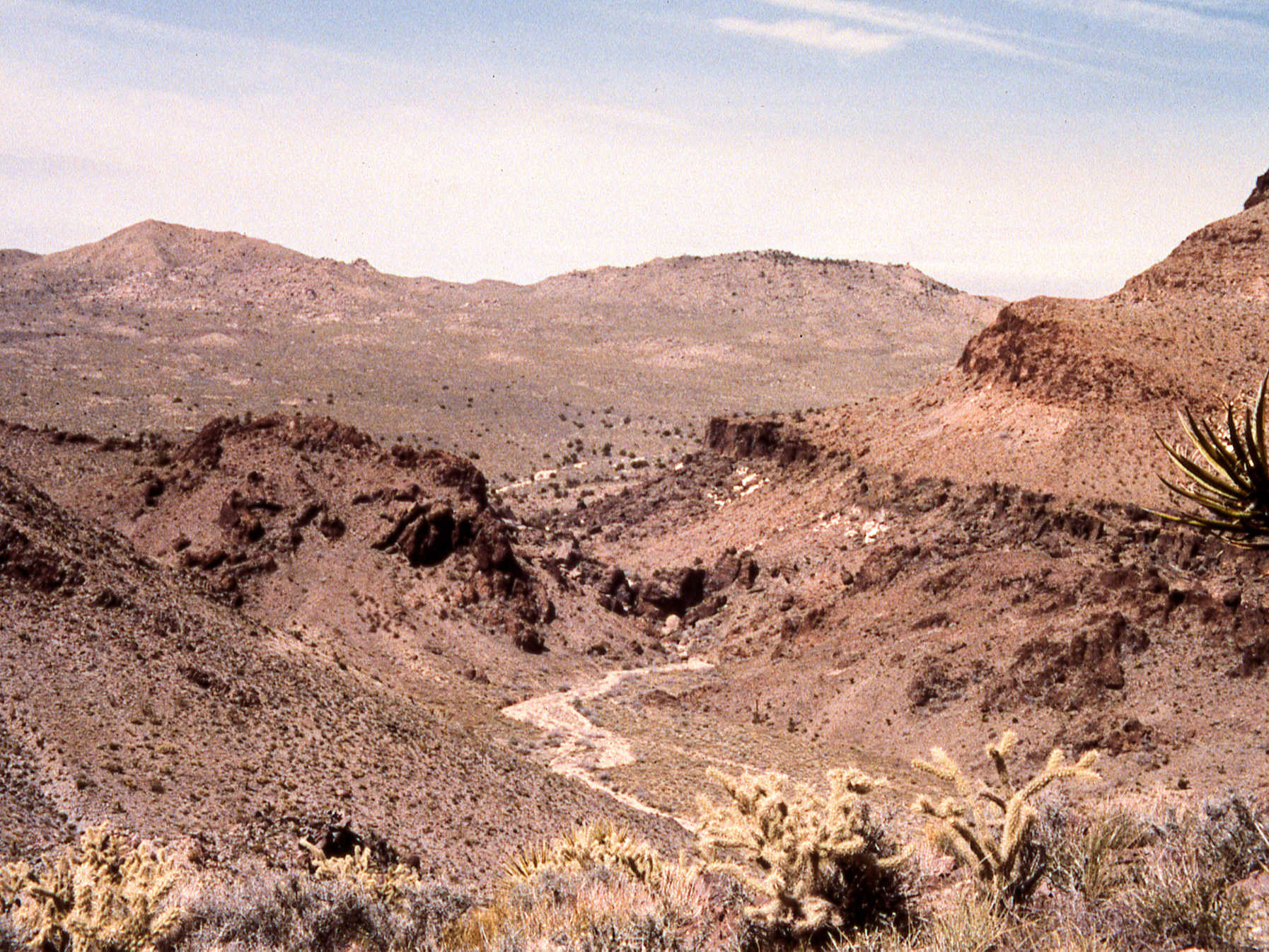 California, San Bernardino County, Lobo Point