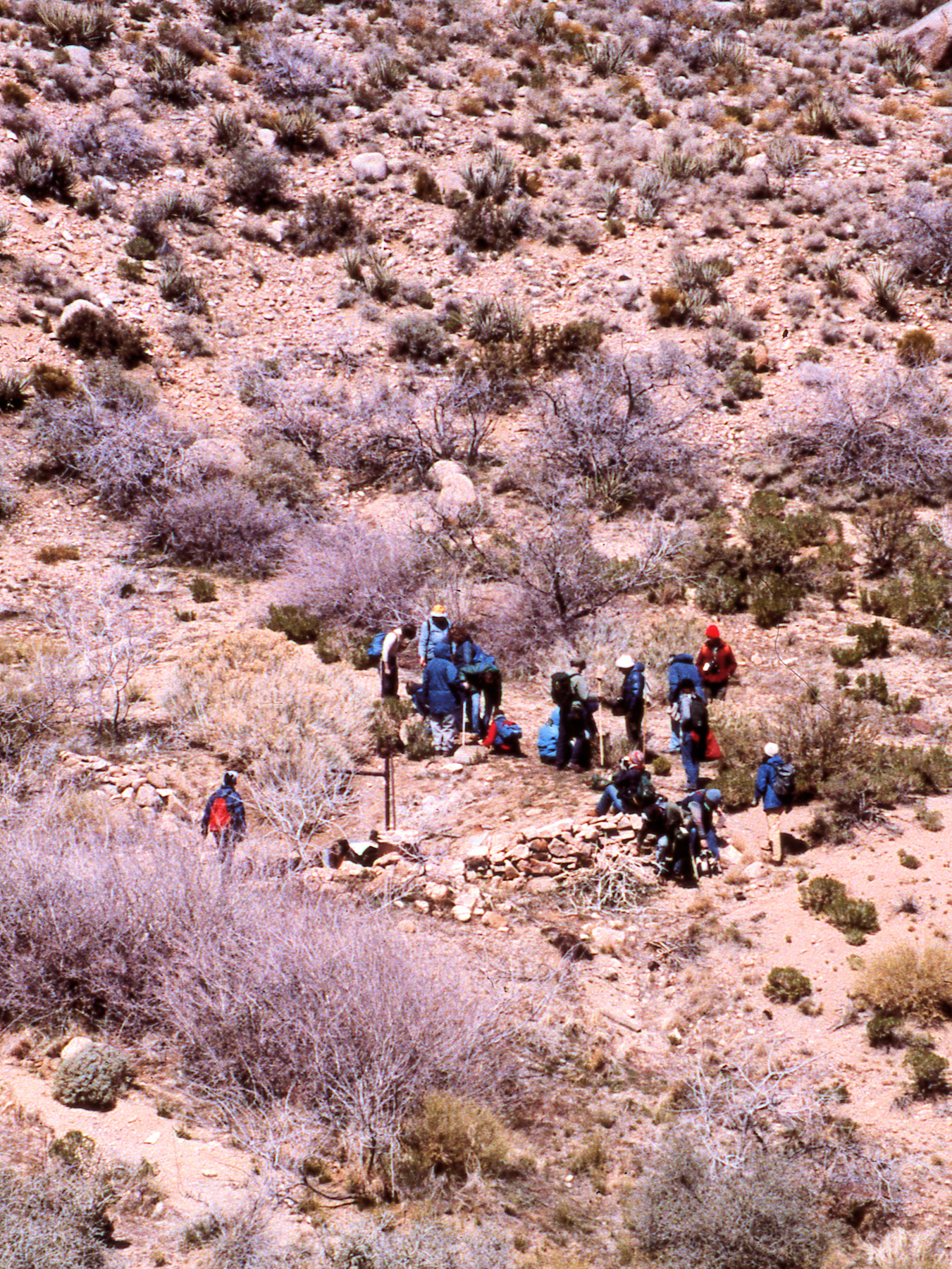 California, San Bernardino County, Gold Valley Spring