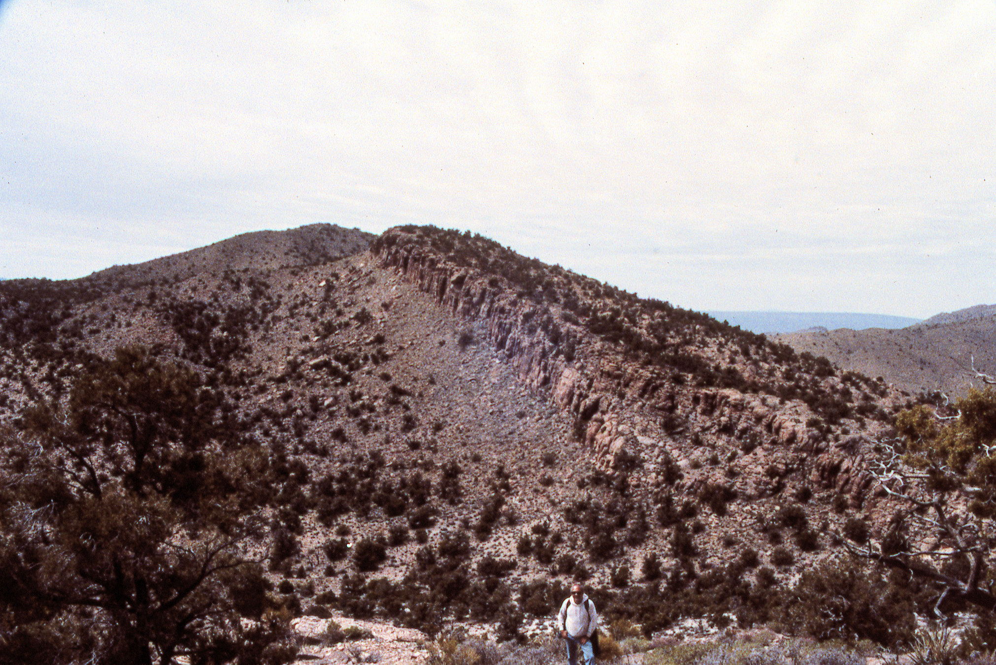 California, San Bernardino County, Wild Horse Mesa