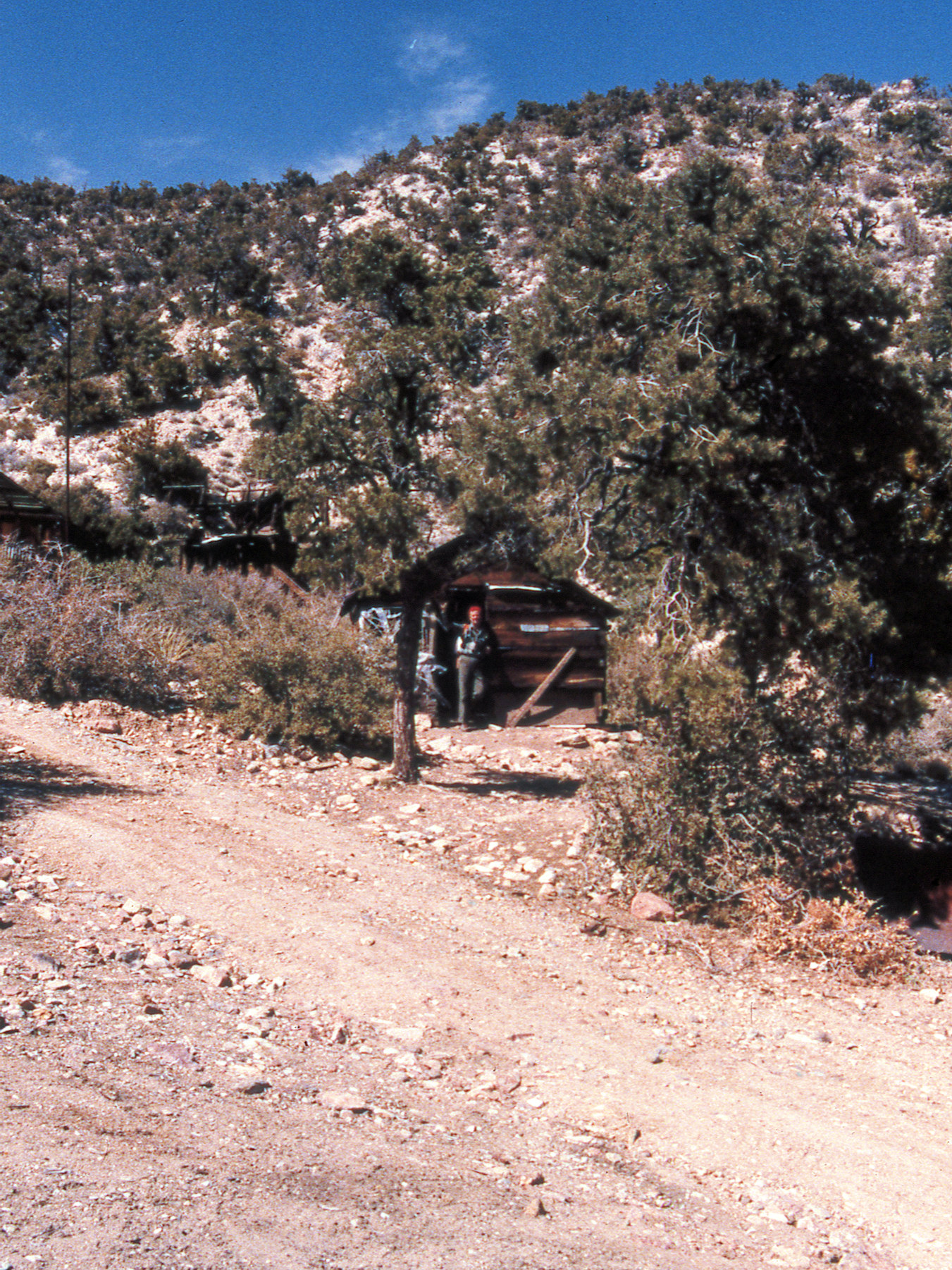 California, San Bernardino County, Keystone Canyon