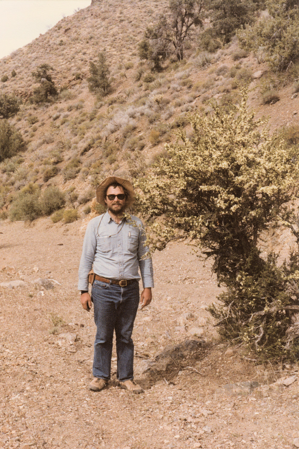 California, San Bernardino County, Globe Canyon