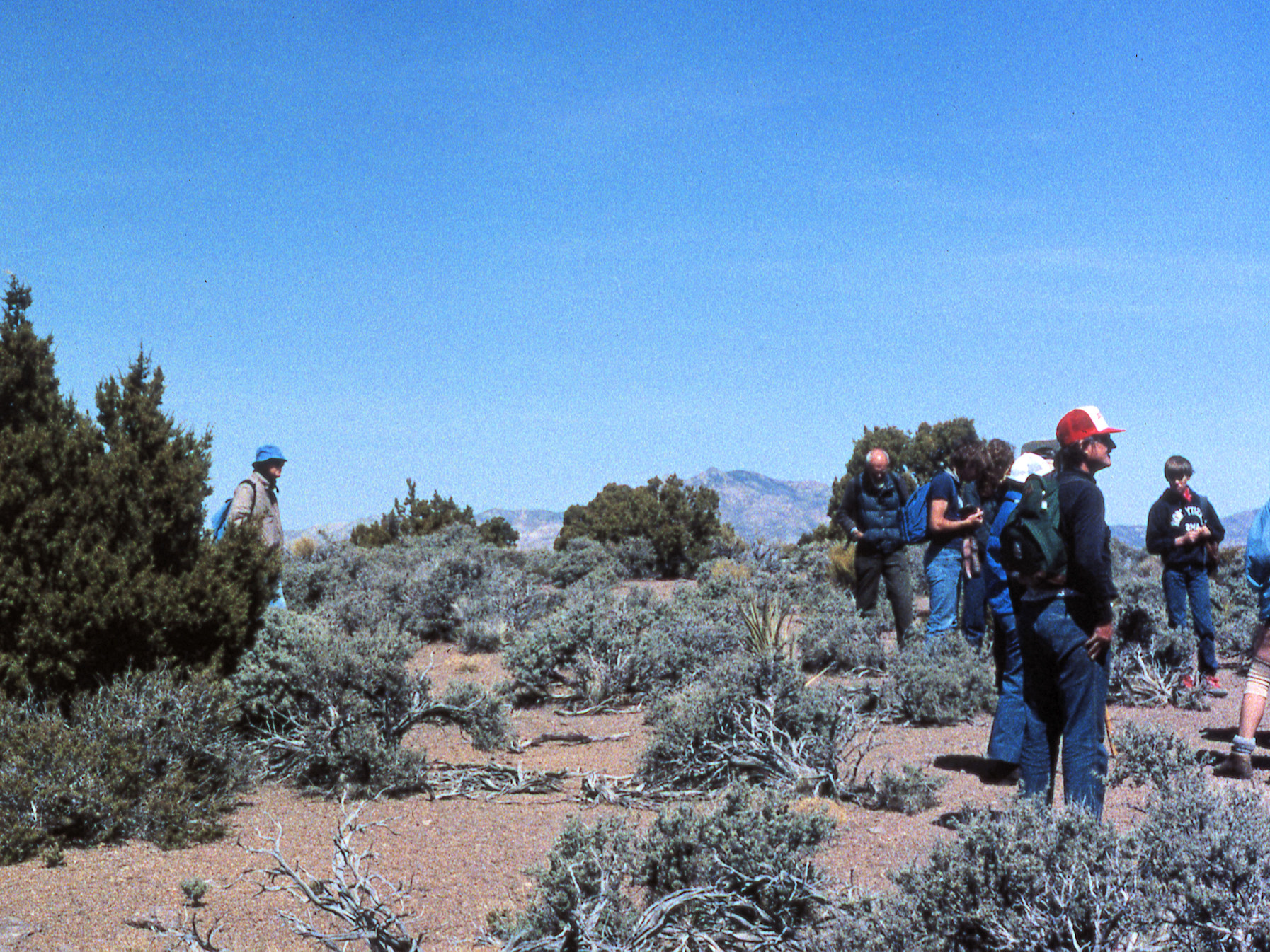 California, San Bernardino County, Table Top