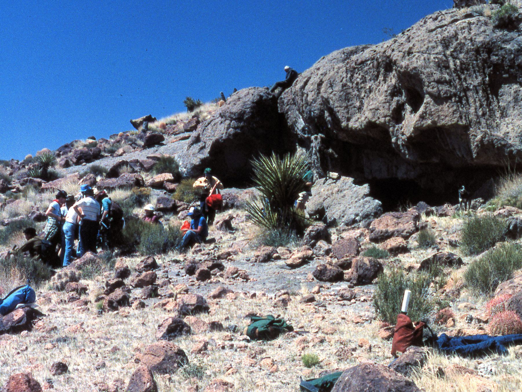 California, San Bernardino County, Woods Mountains