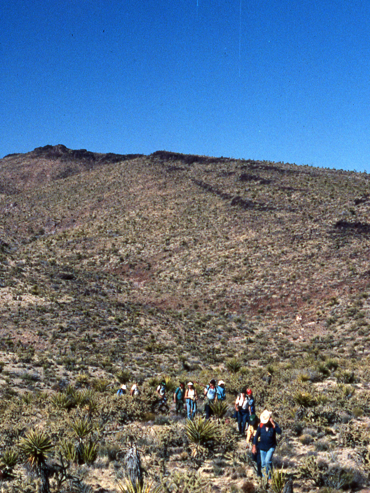 California, San Bernardino County, Woods Mountains, Burro Canyon