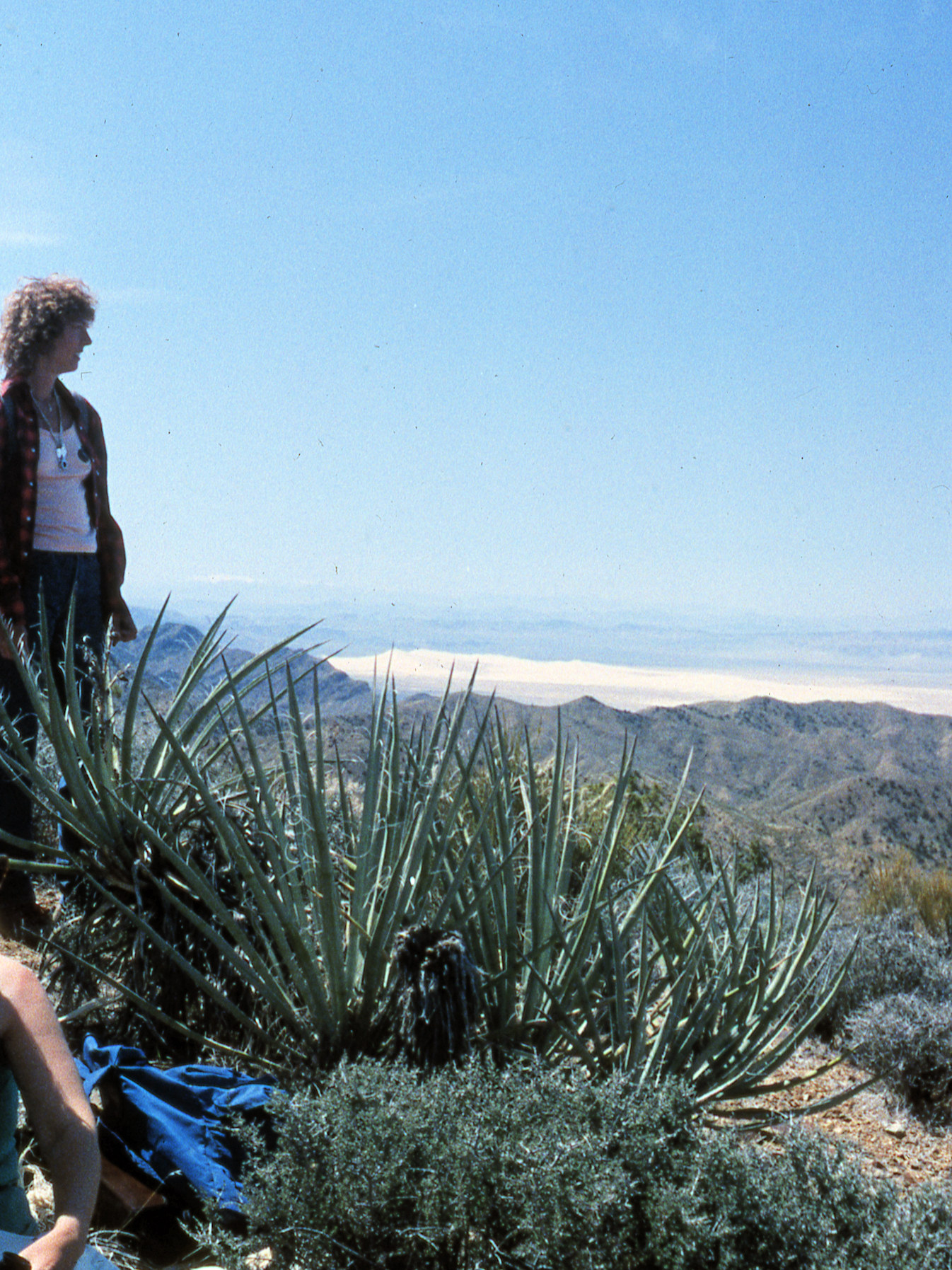 California, San Bernardino County, Wild Horse Mesa, Kelso Dunes