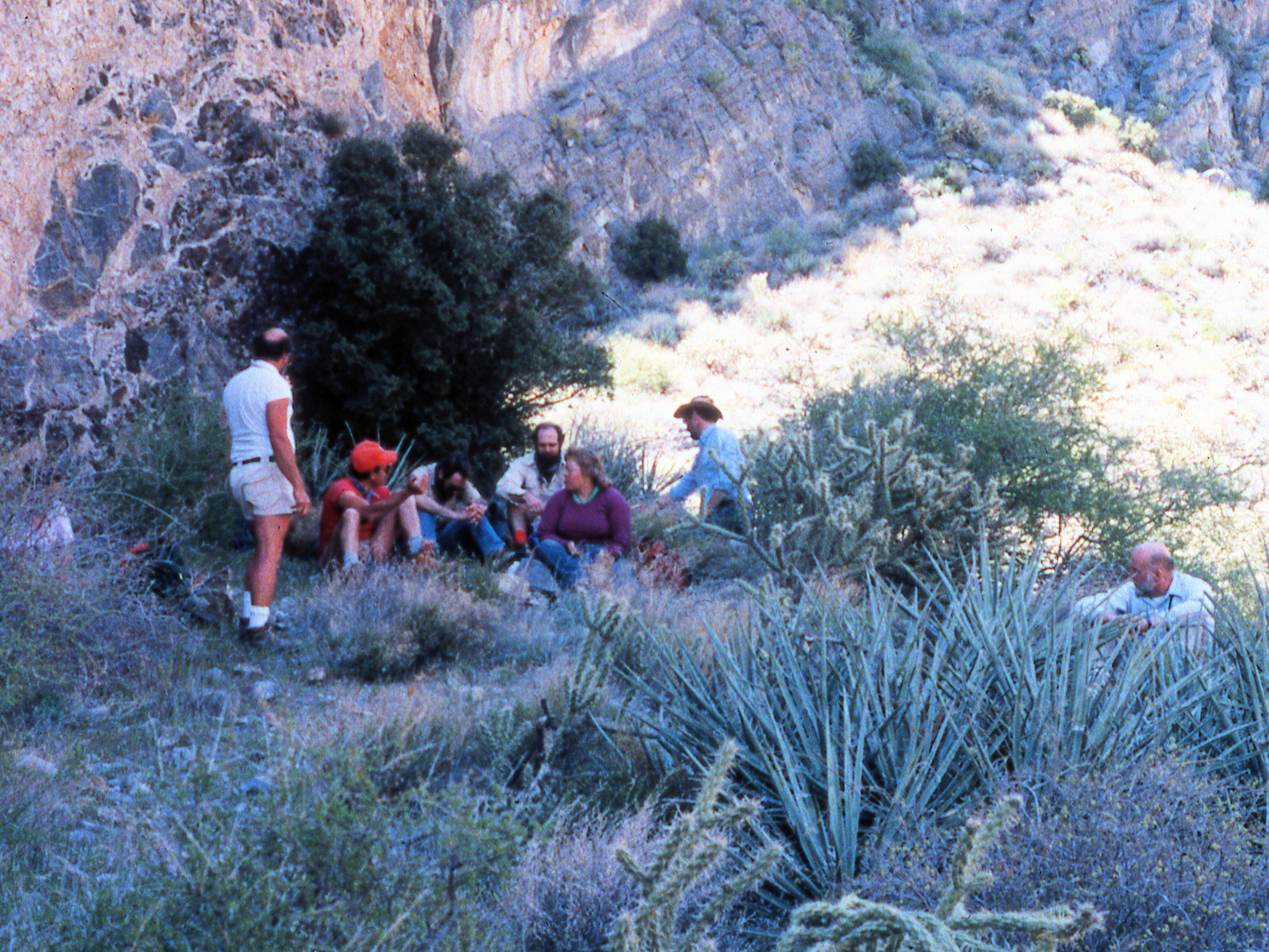 California, San Bernardino County, Bonanza King Canyon