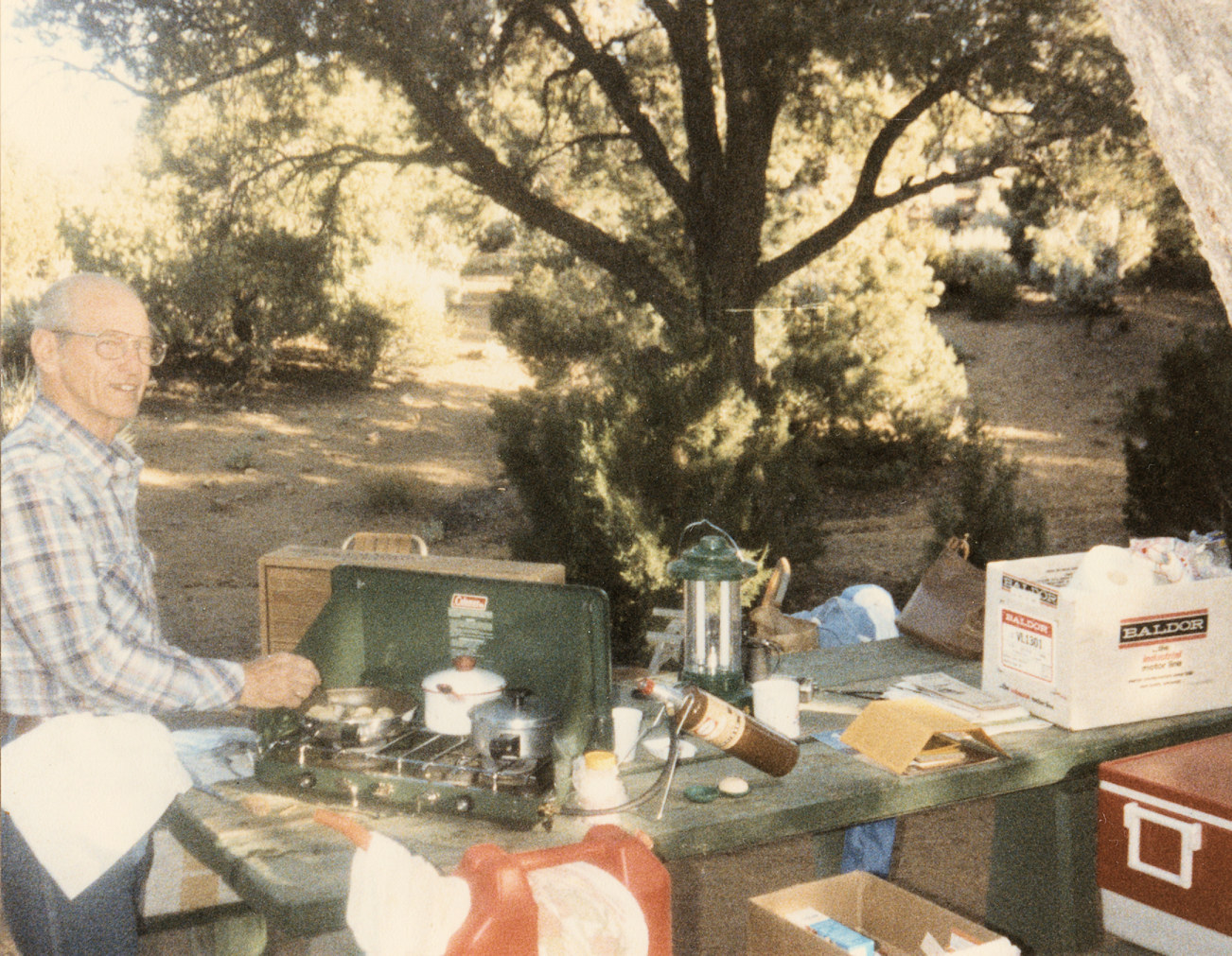 California, San Bernardino County, Mid Hills Campground