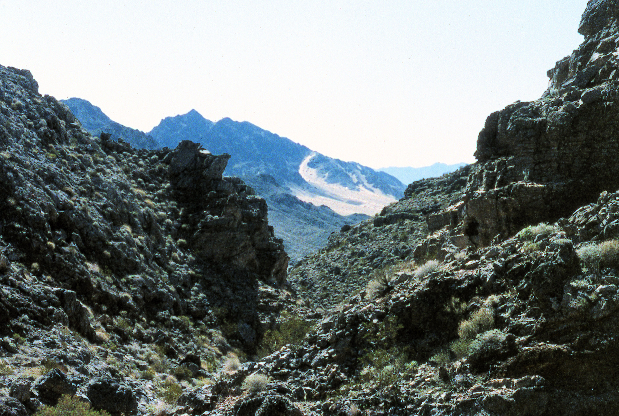 California, San Bernardino County, Old Dad Mountain