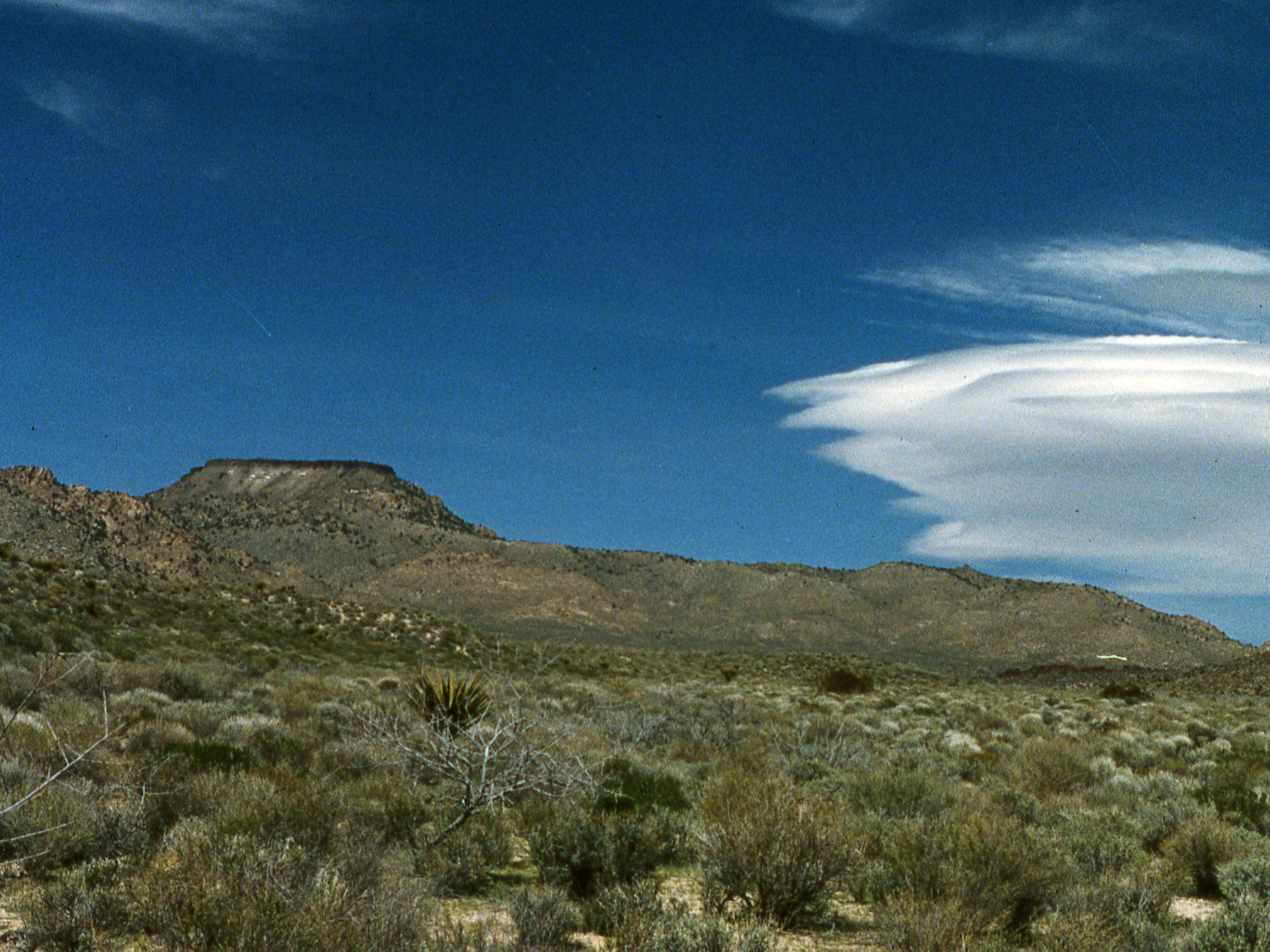 California, San Bernardino County, Woods Mountains