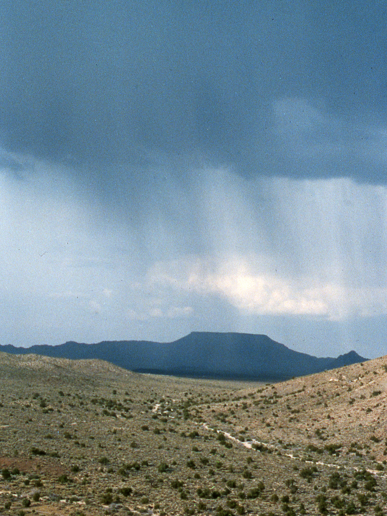 California, San Bernardino County, Lobo Point