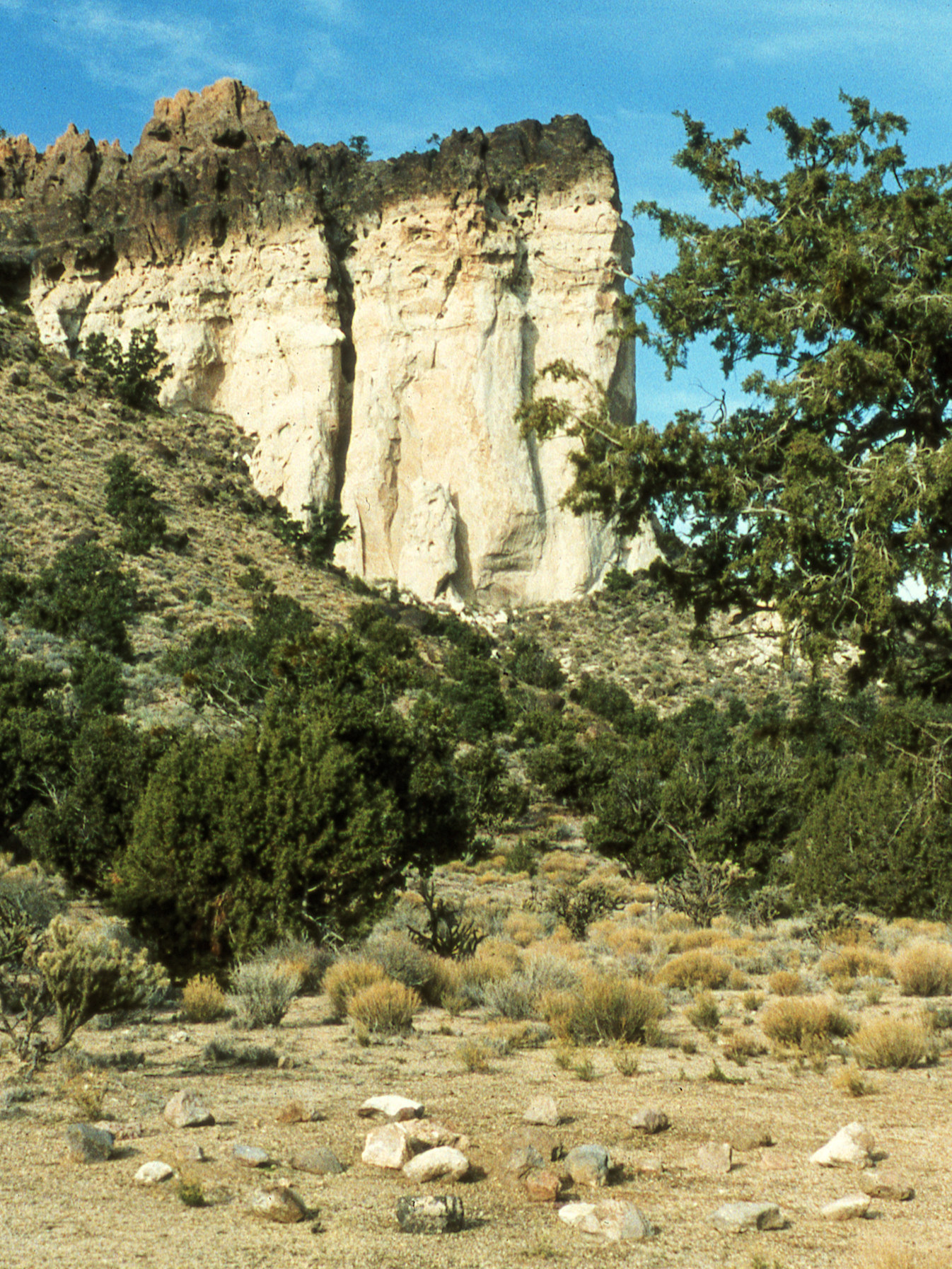 California, San Bernardino County, Lobo Point, Medicine Wheel