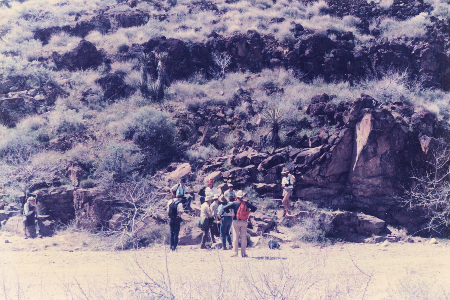 California, San Bernardino County, Woods Mountains