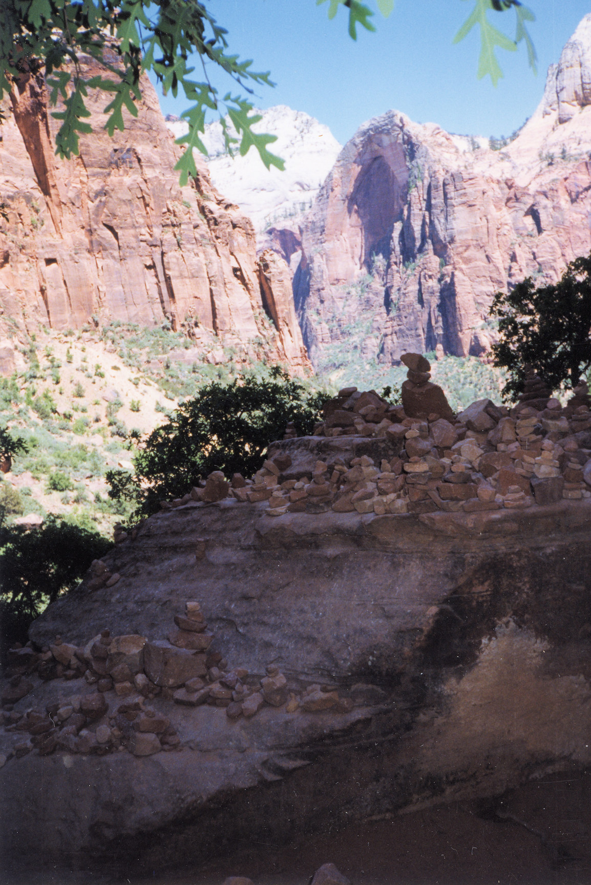 Utah, Washington County, Zion National Park