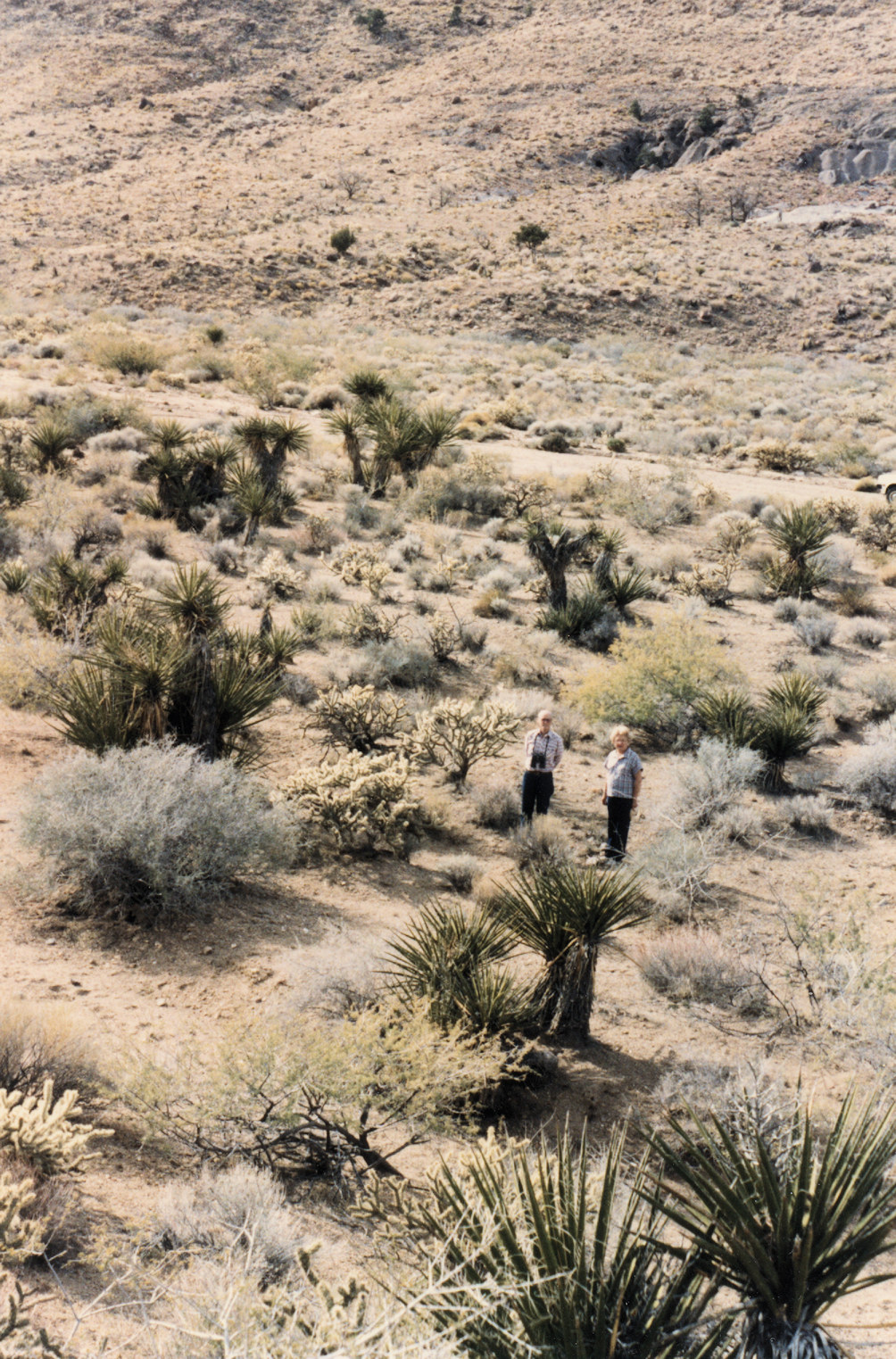 California, San Bernardino, Wild Horse Canyon