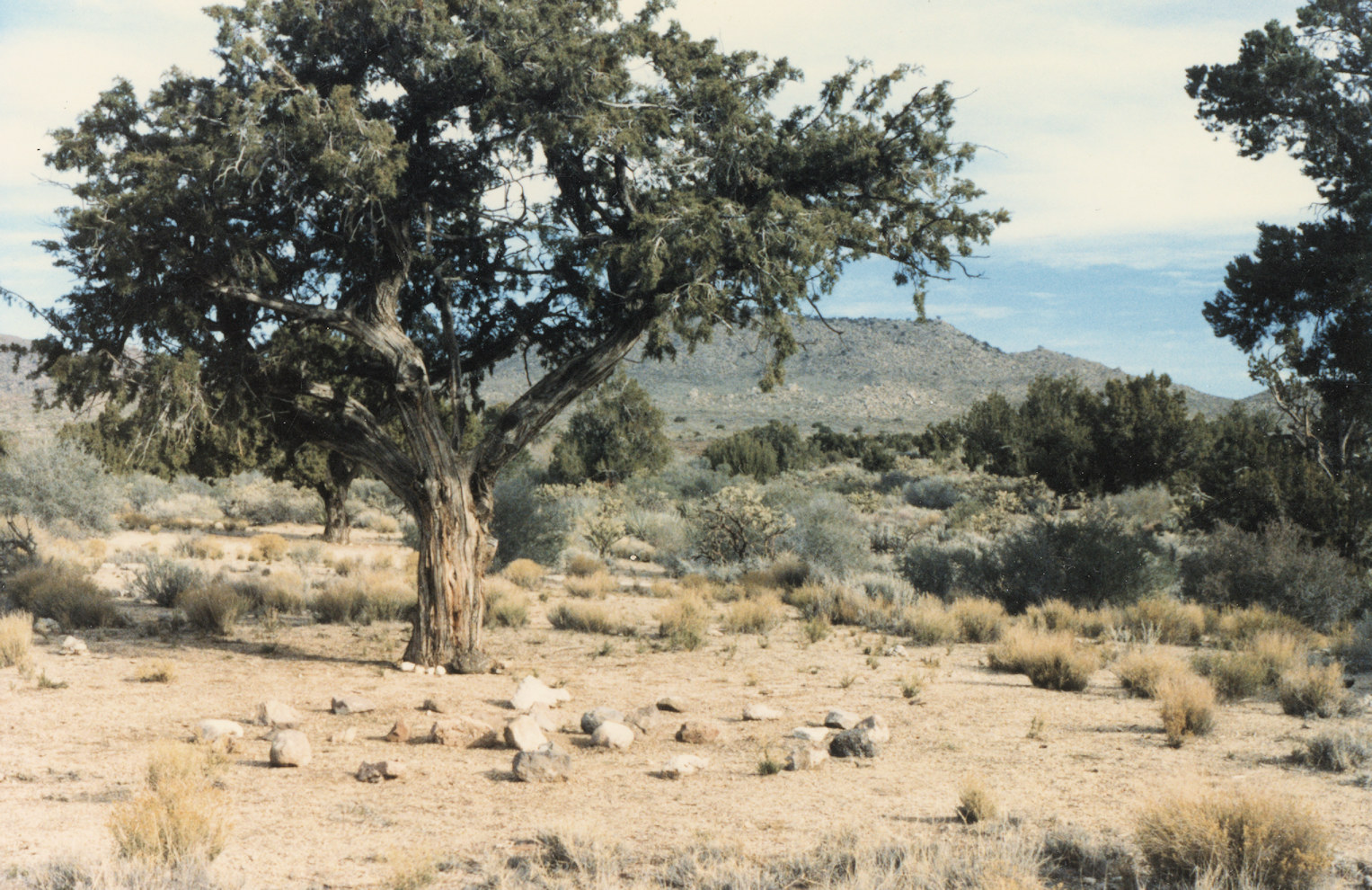 California, San Bernardino, Lobo Point