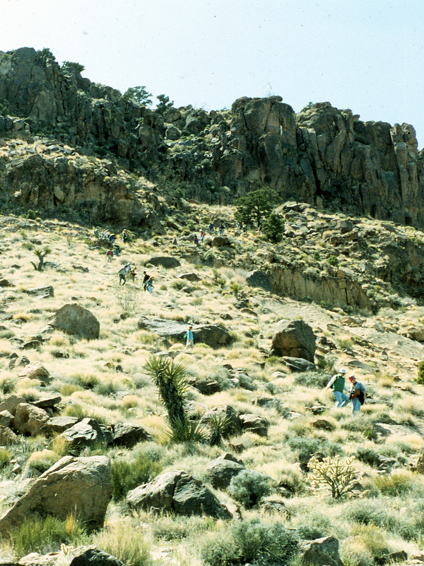 California, San Bernardino County, Barber Mountain