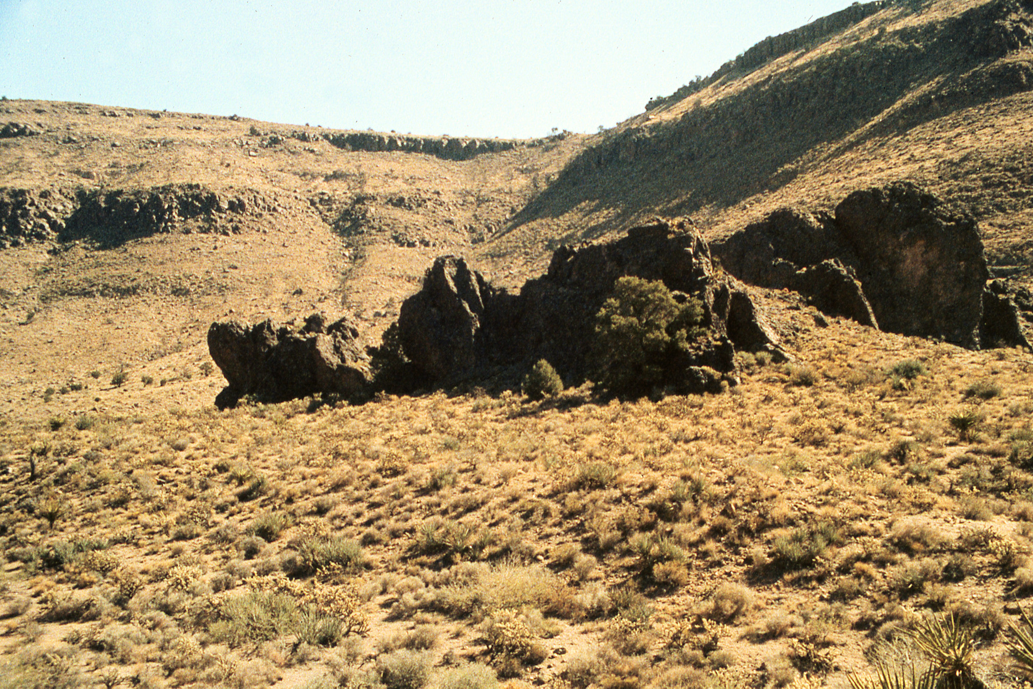 California, San Bernardino County, Wild Horse Mesa