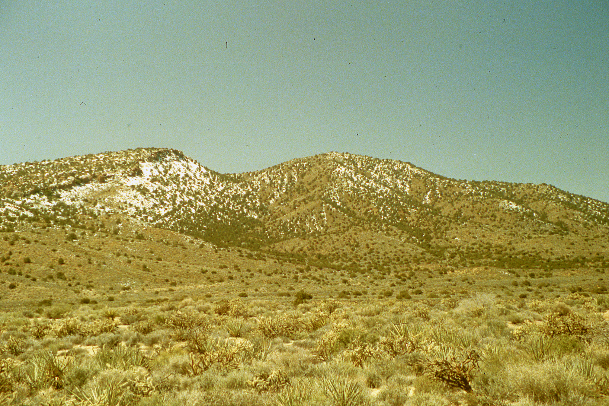 California, San Bernardino County, Wild Horse Canyon