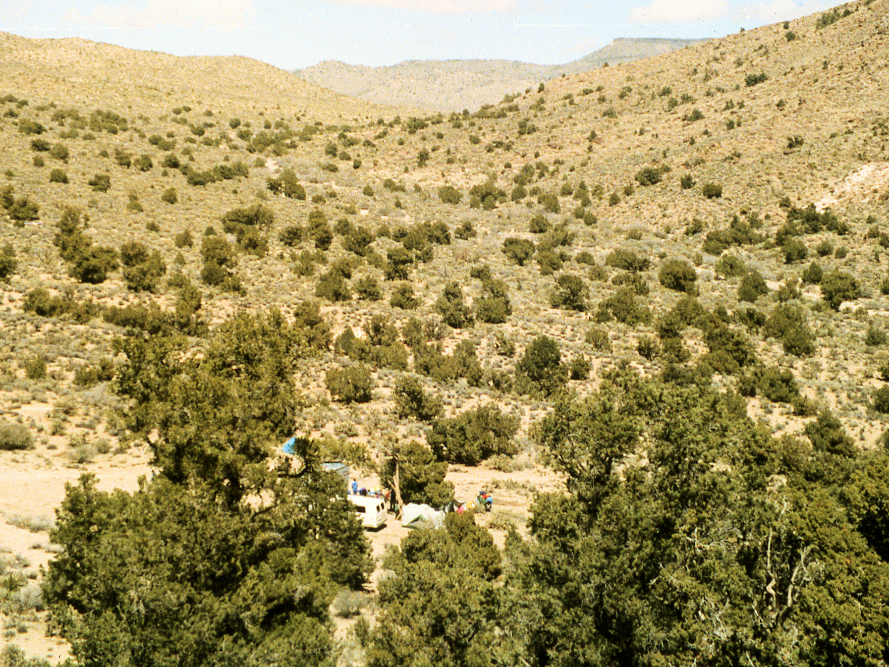 California, San Bernardino County, Lobo Point