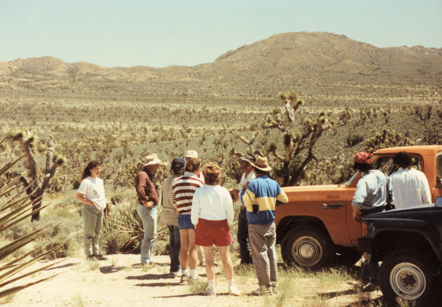 California, San Bernardino County, Piute Valley