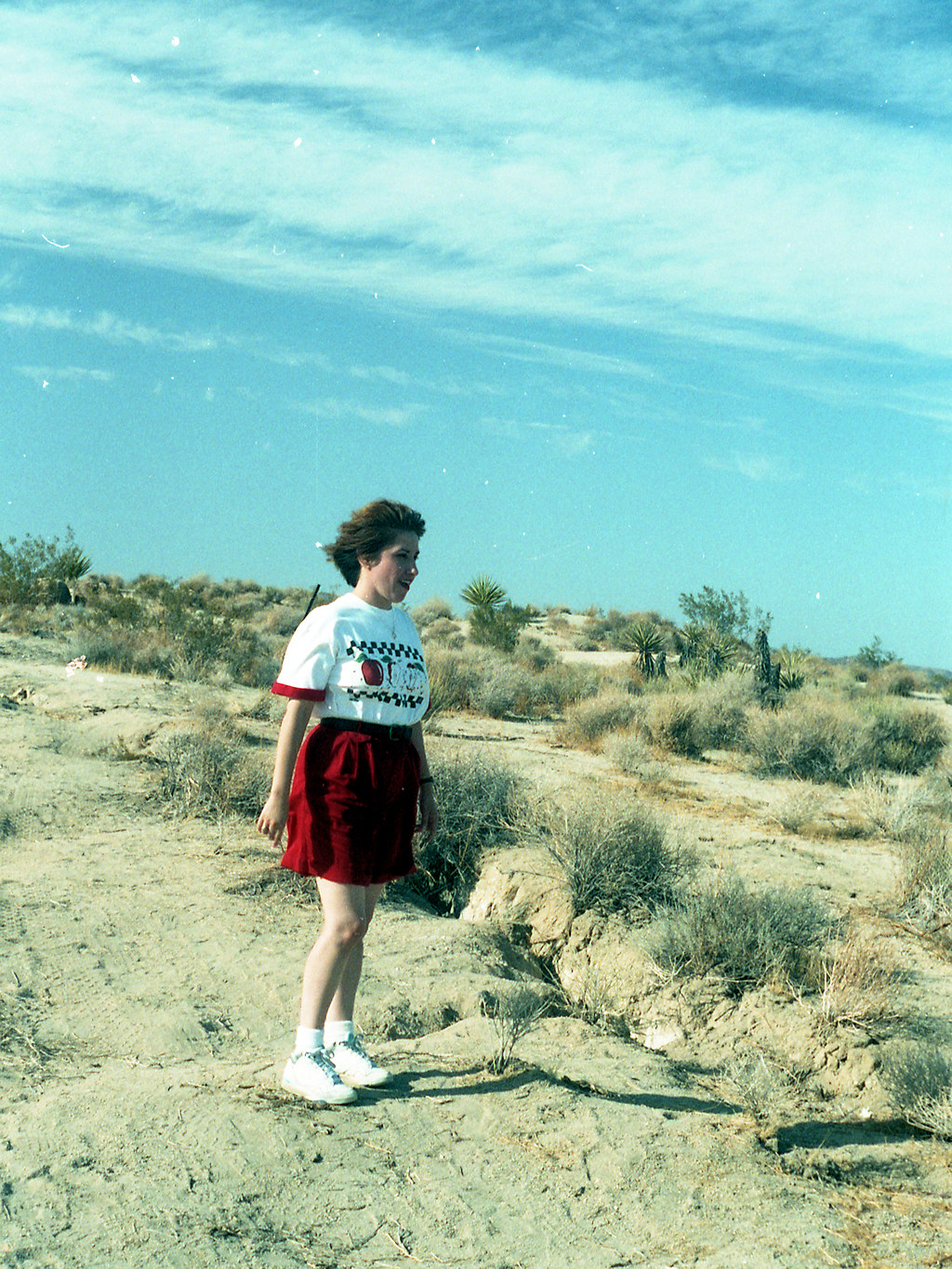 California, San Bernardino County, Landers