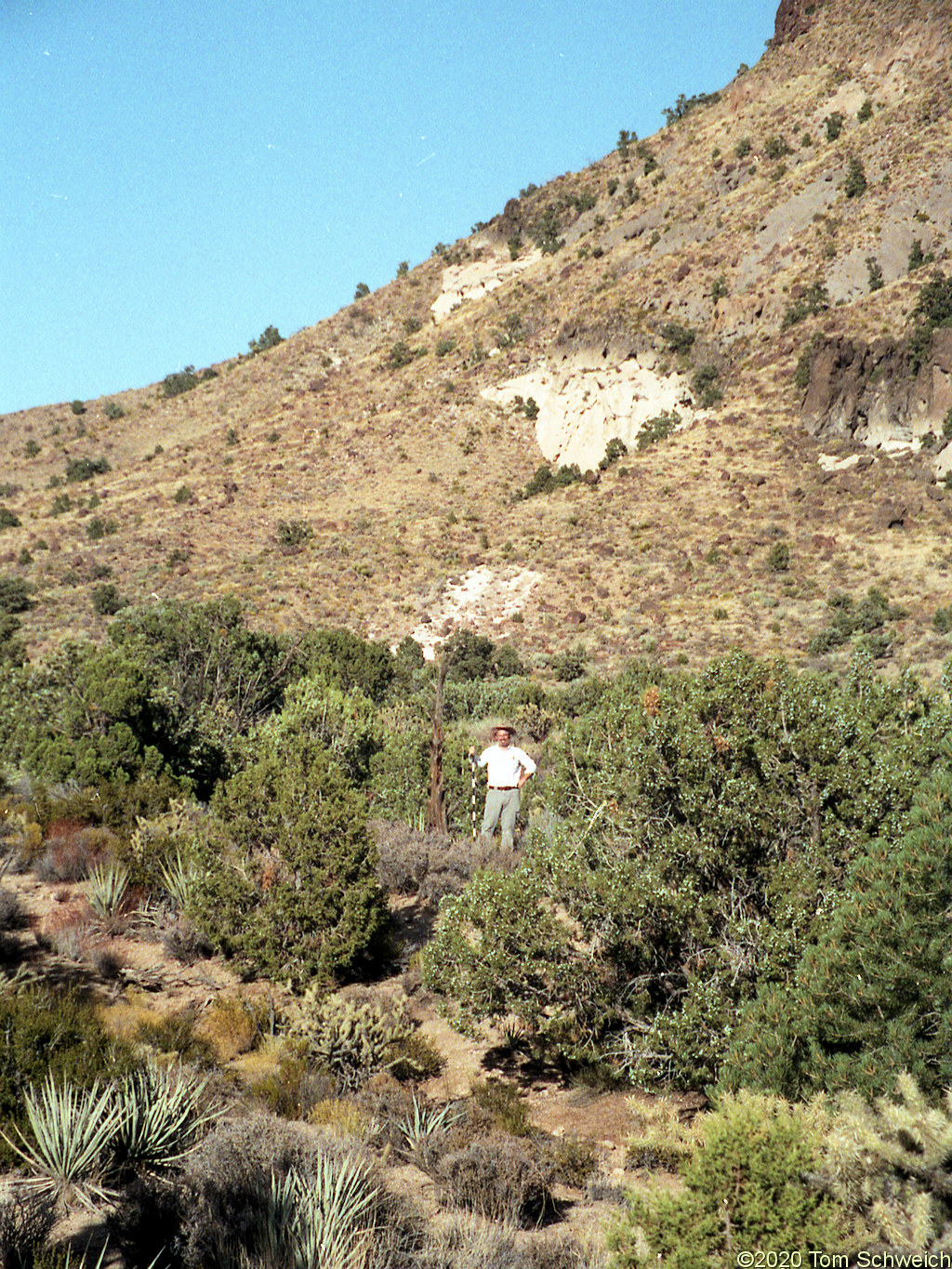 California, San Bernardino County, Lobo Point