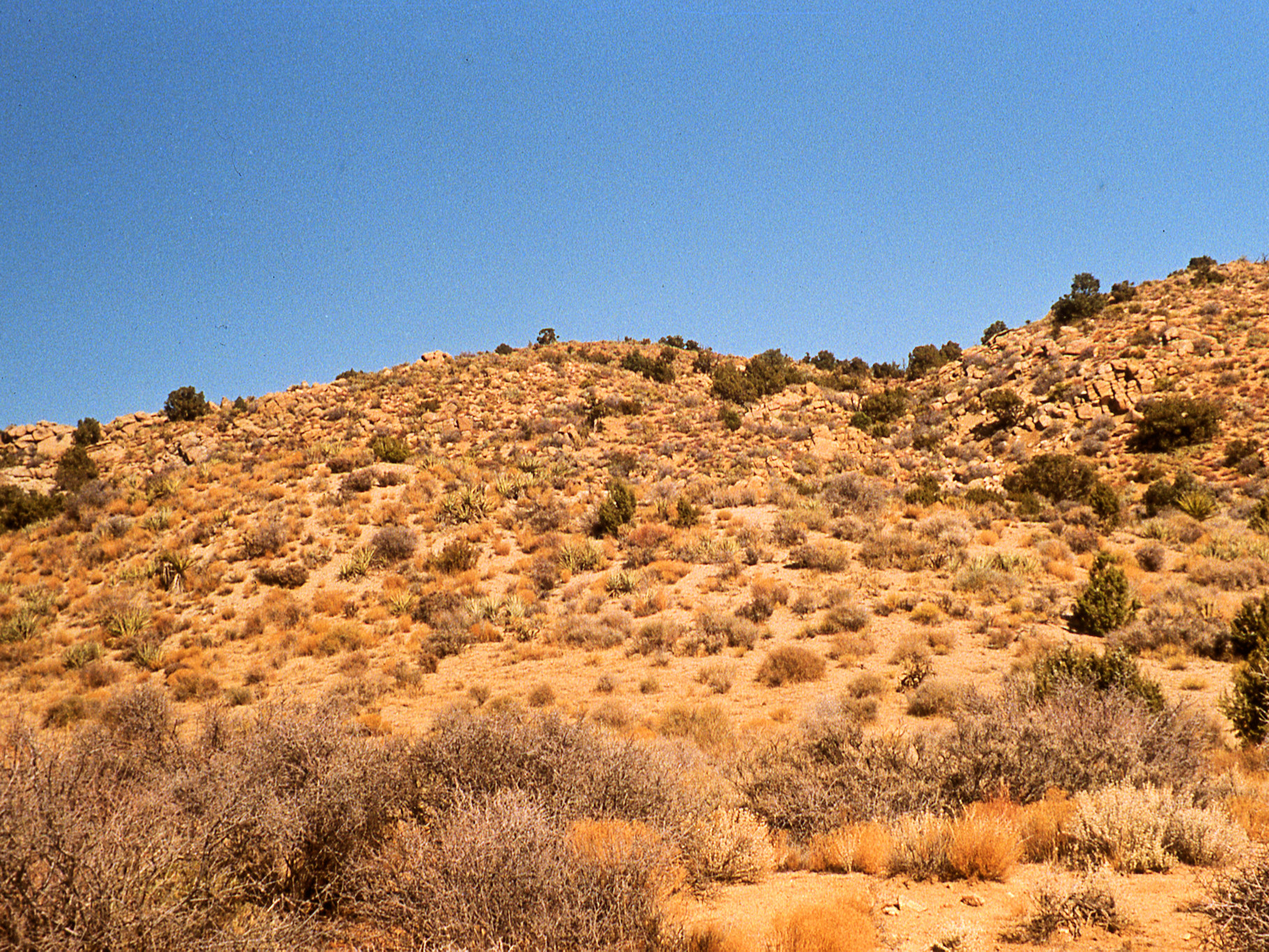 California, San Bernardino County, Macedonia Canyon