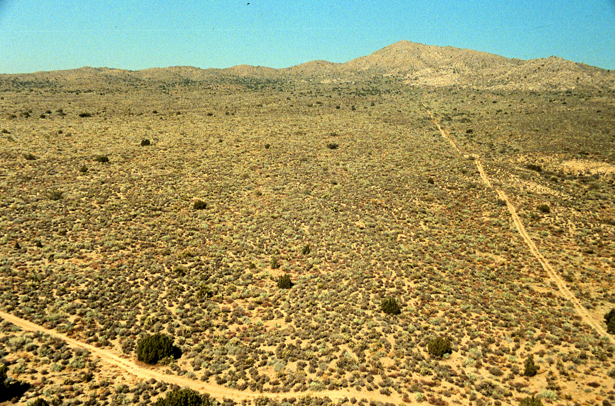 California, San Bernardino County, Lobo Point