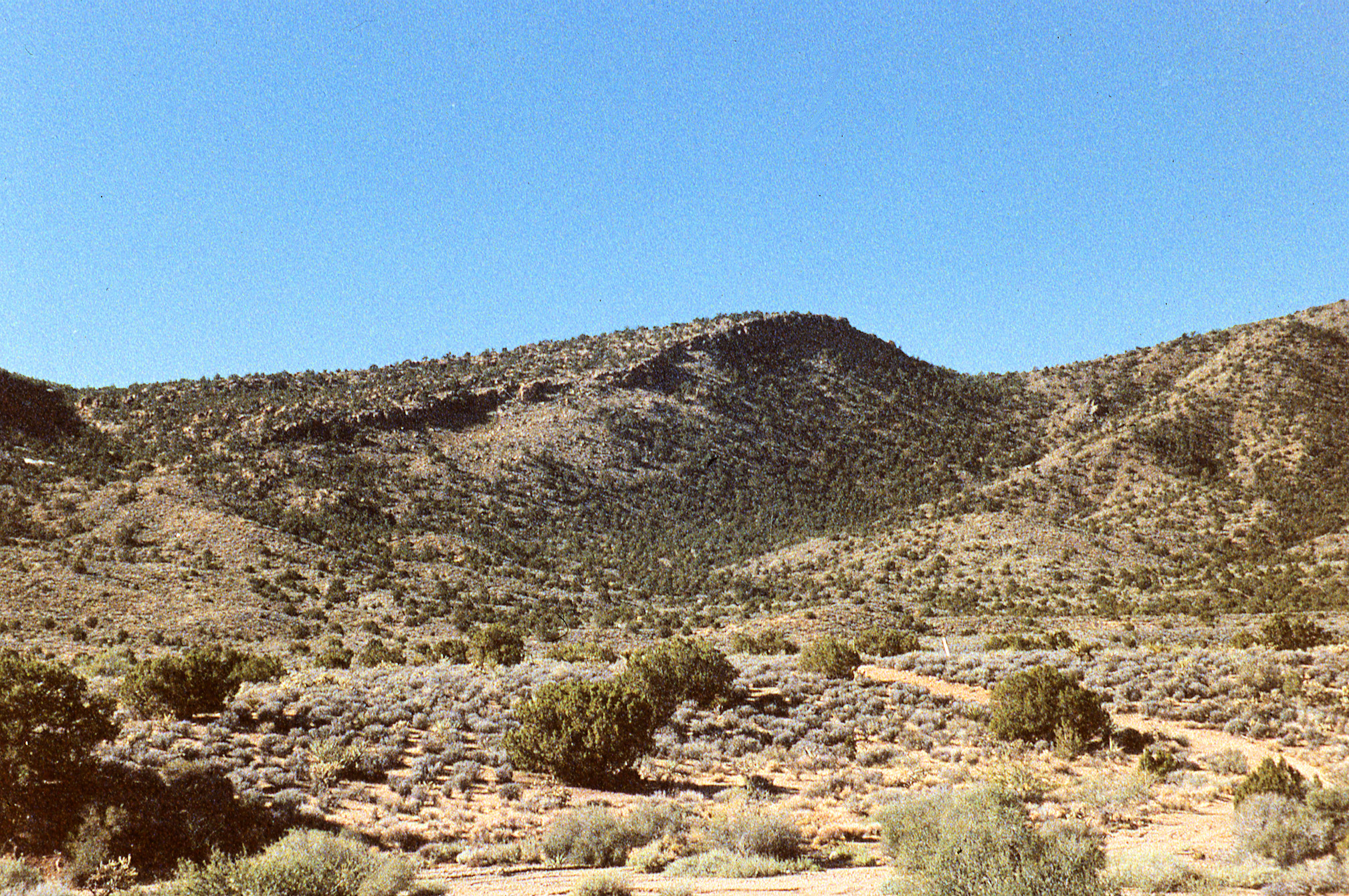 California, San Bernardino County, Wild Horse Mesa