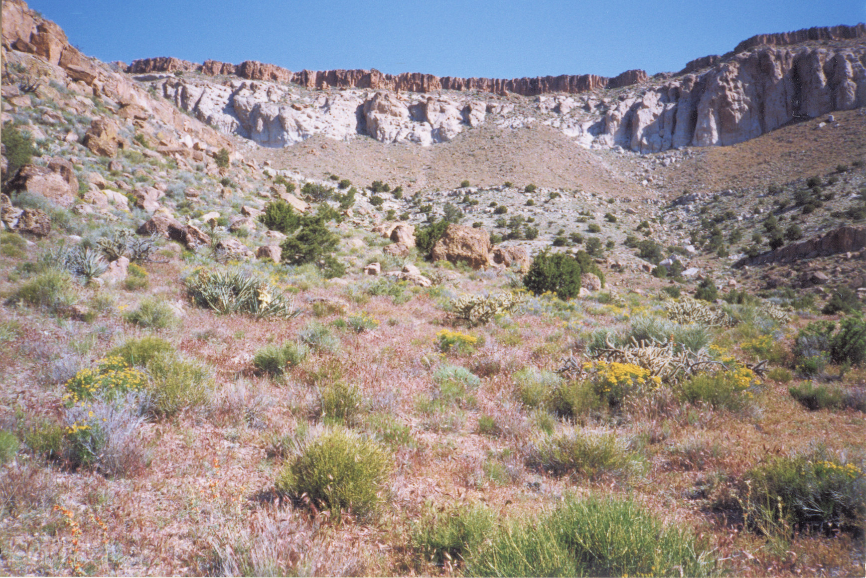 California, San Bernardino County, Pinto Mountain