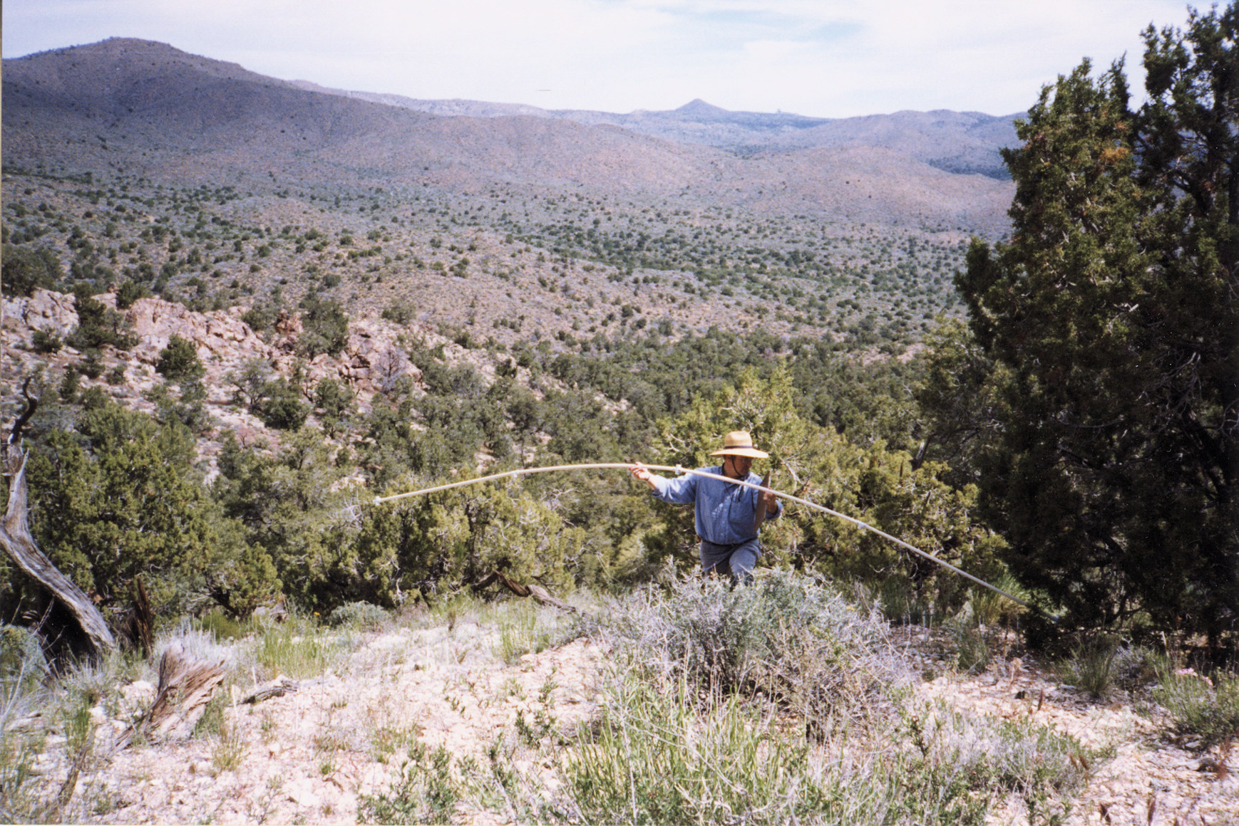 California, San Bernardino County, Wild Horse Mesa