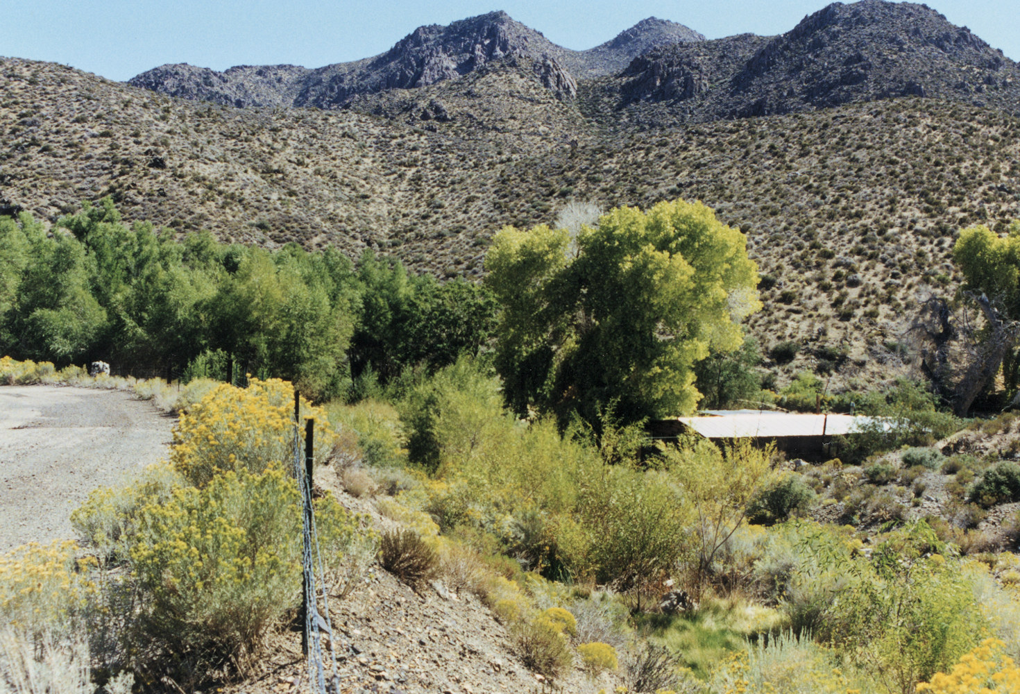 California, San Bernardino County, Kingston Range, Horsethief Springs