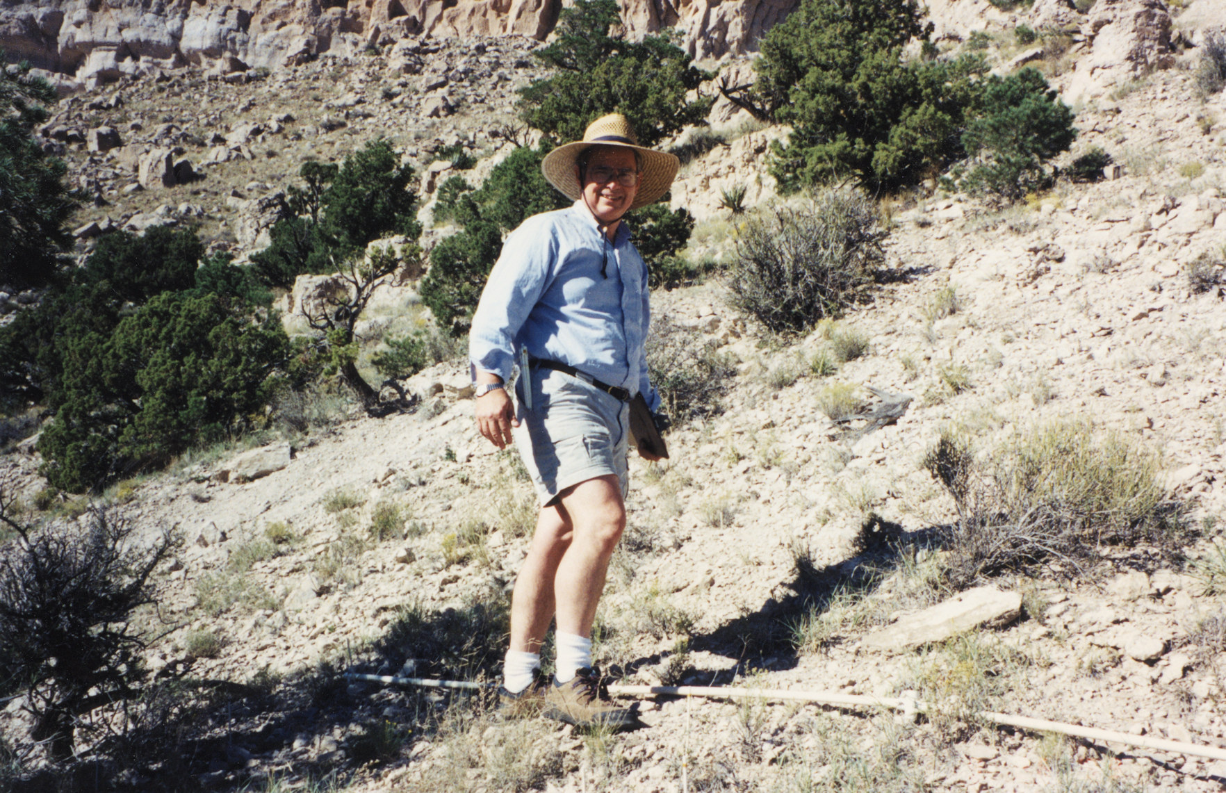 California, San Bernardino County, Wild Horse Mesa